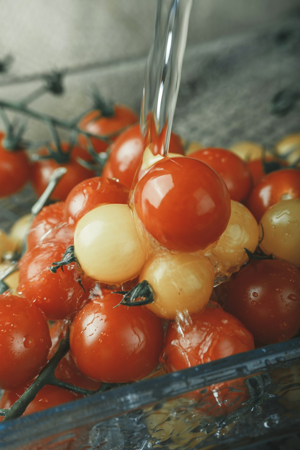 a bowl of tomatoes