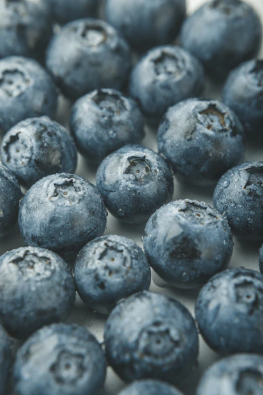 A vibrant close-up of fresh blueberries glistening with morning dew on green leaves.