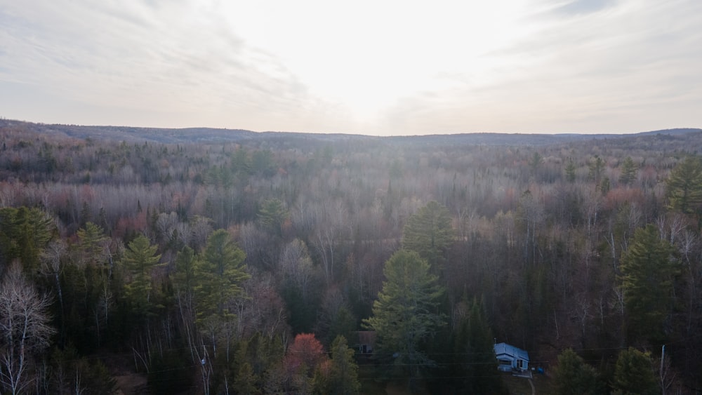 a landscape with trees and a blue building in the distance