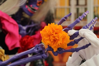 Day of the dead in Mexico a close up of a flower