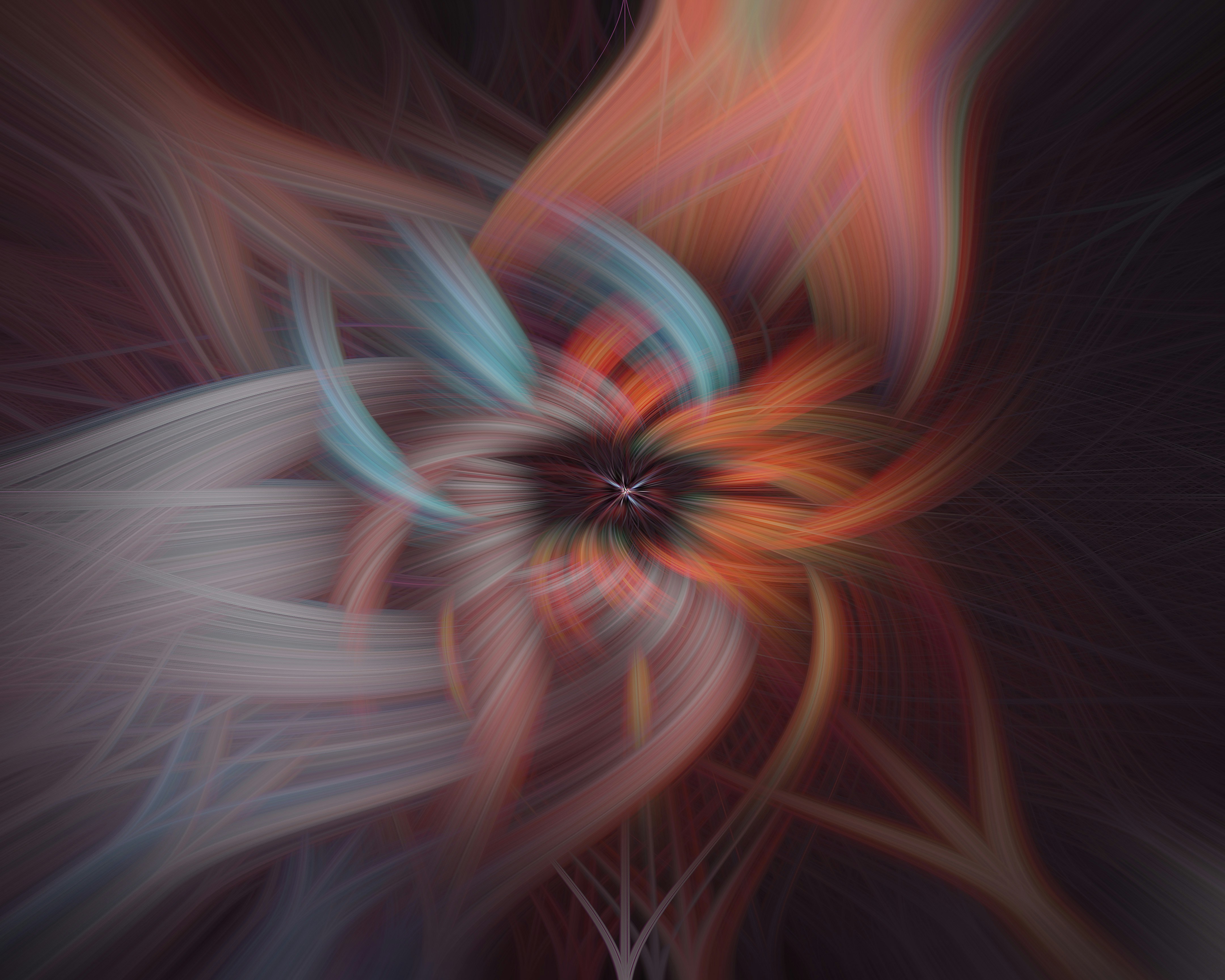 Photo by bitetheboxer