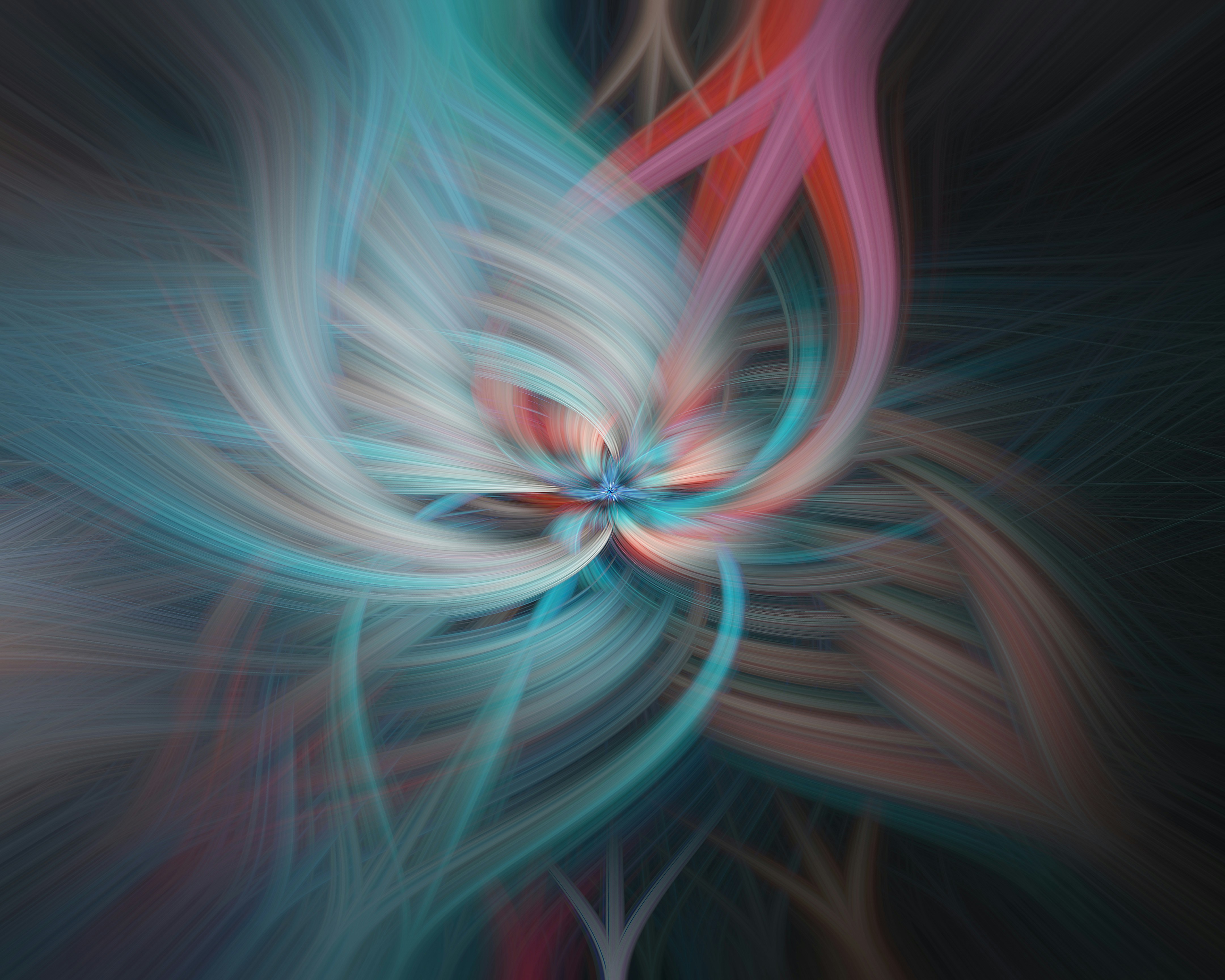 Photo by bitetheboxer