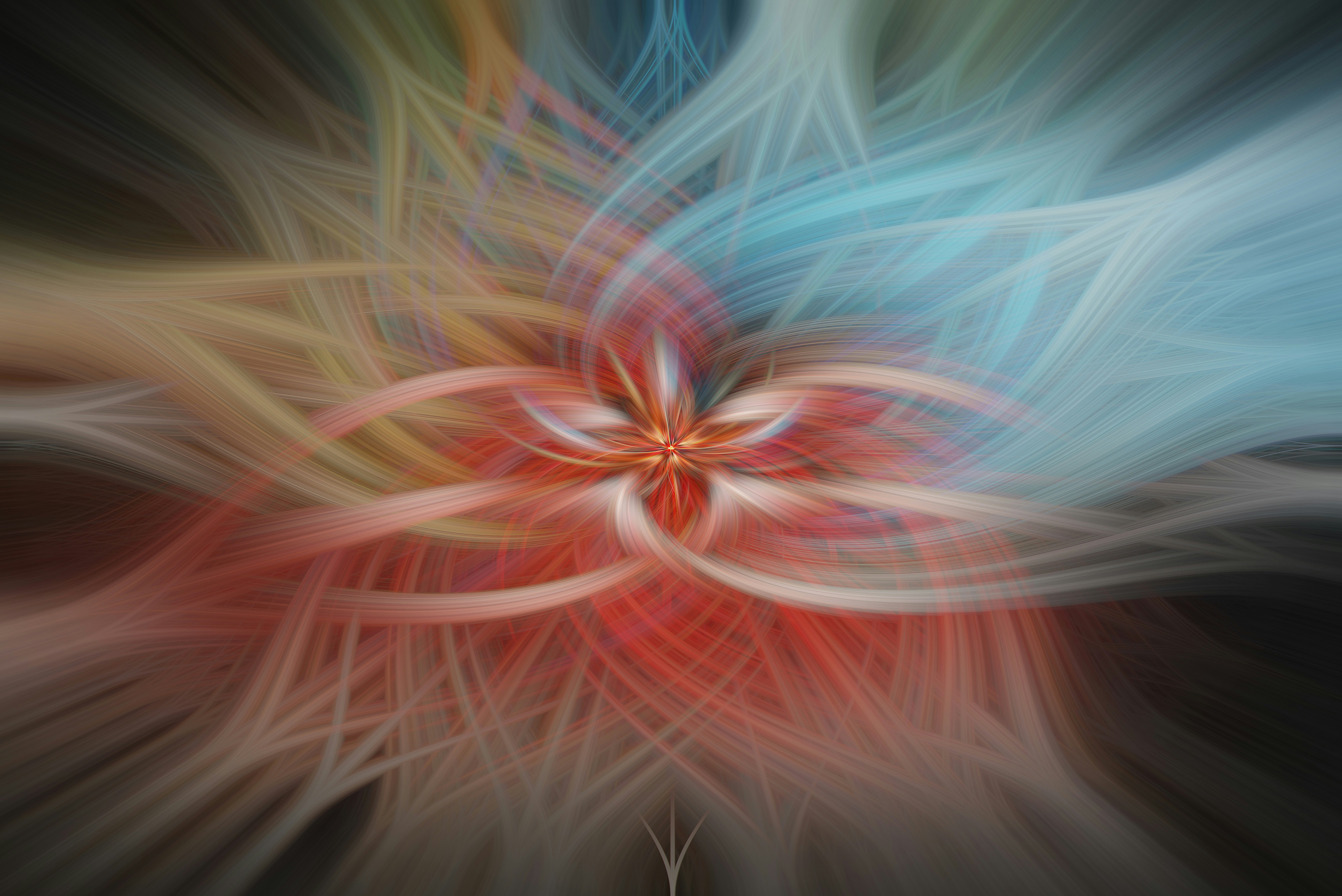 Photo by bitetheboxer