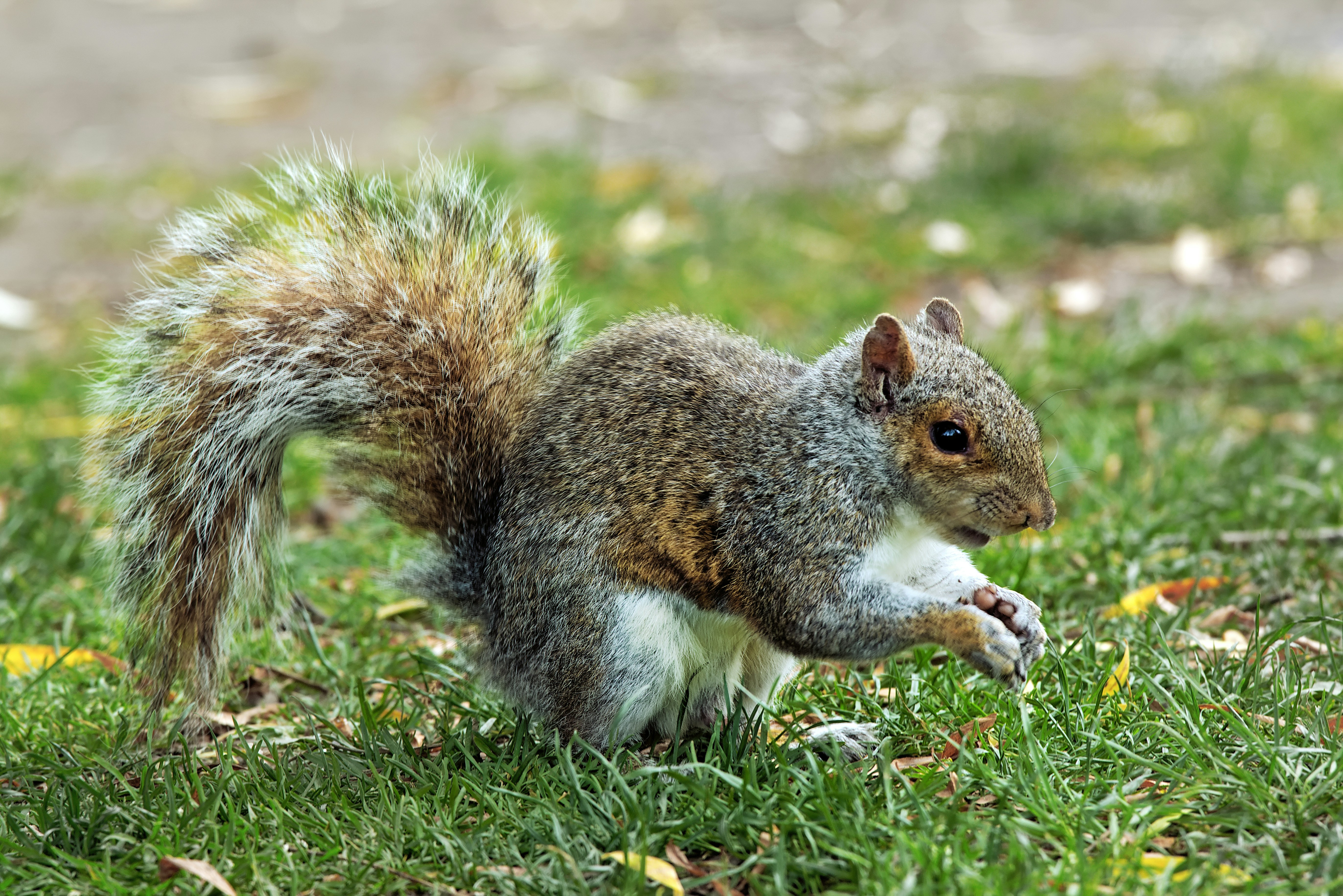 Photo by kieran_manion