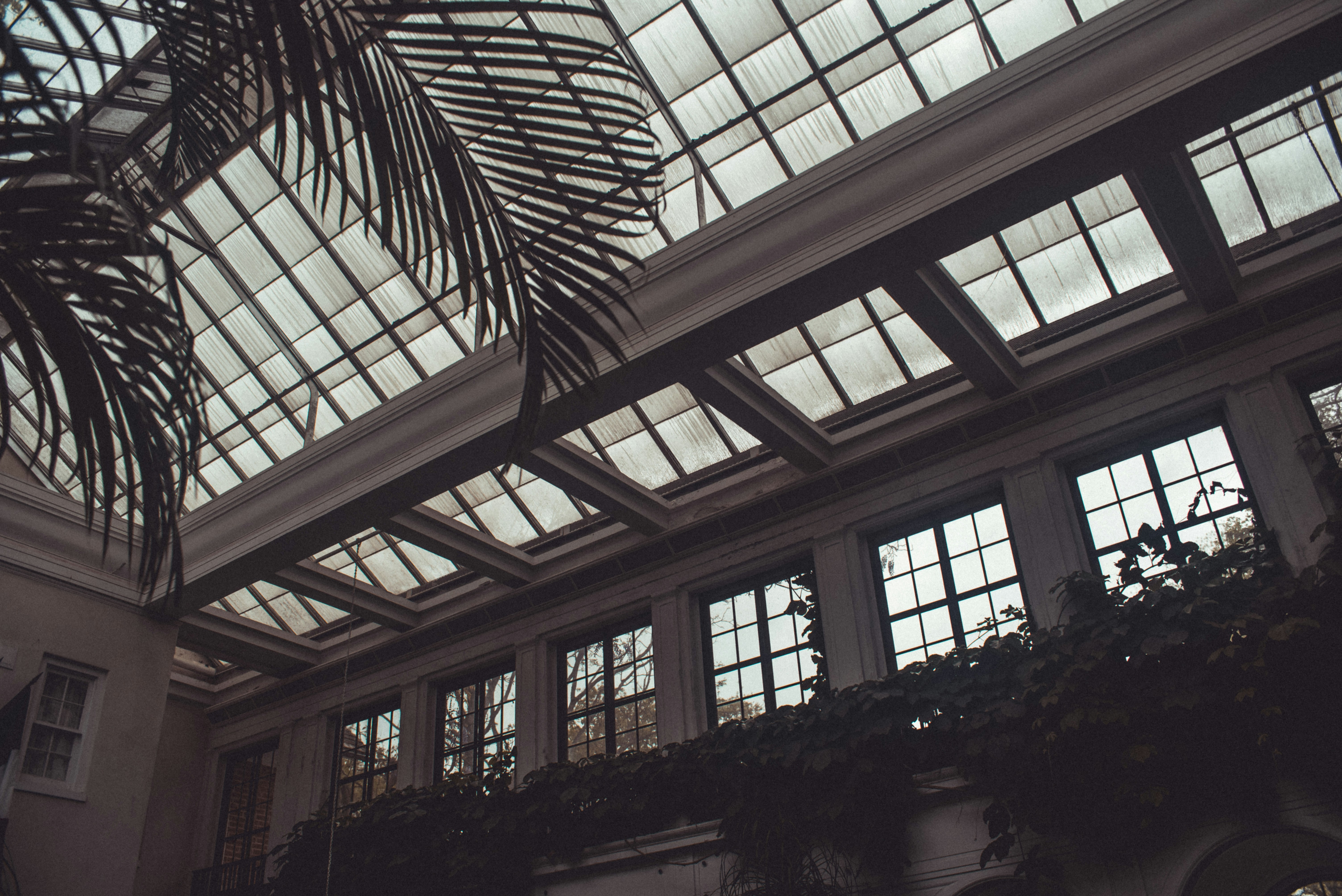 Photo by romandempire