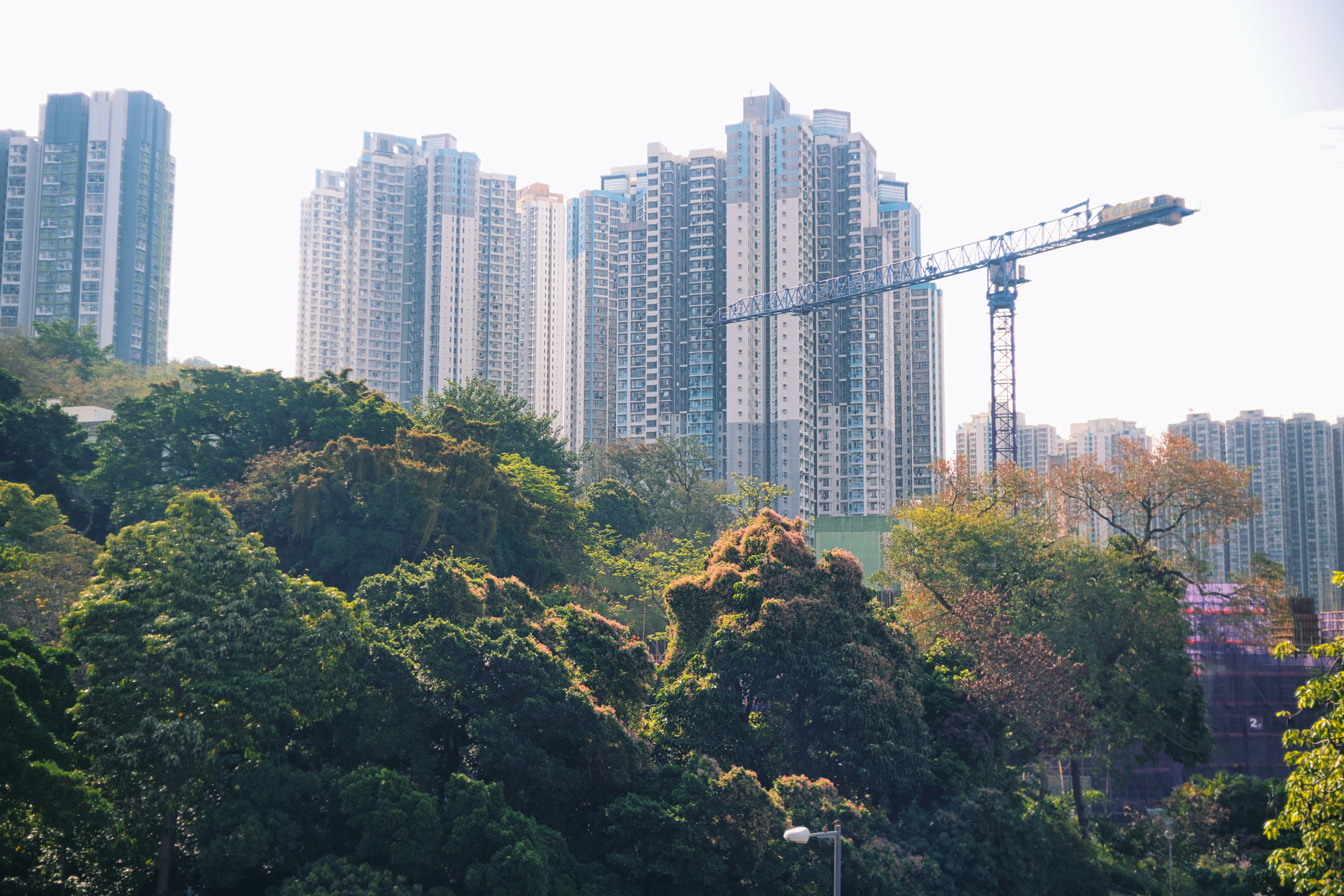 广州官网建设