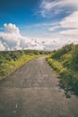 A scenic rural road curves gently through lush green vegetation, with vibrant foliage on either side. The sky is expansive and filled with dramatic white clouds, creating a serene, open atmosphere. The road appears deserted, enhancing the tranquil, untouched feel of the landscape.