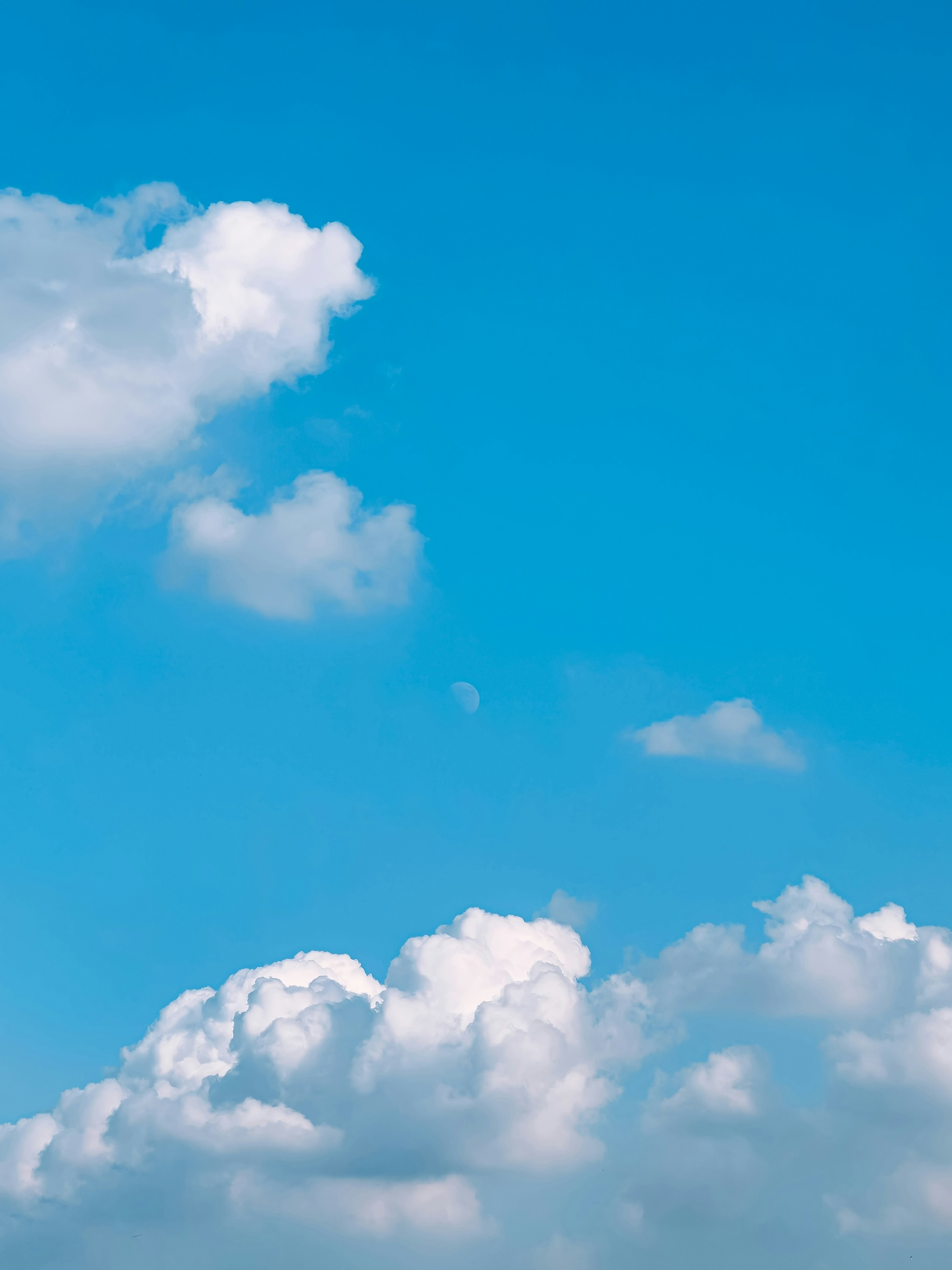 photo-1652365789690-904ca76b44f2?ixid=M3