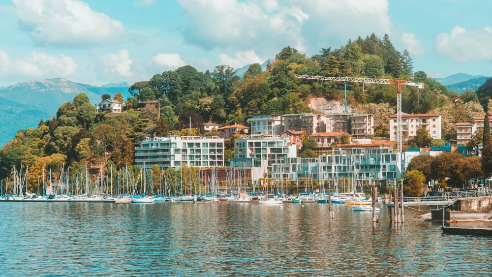 a body of water with buildings and trees around it