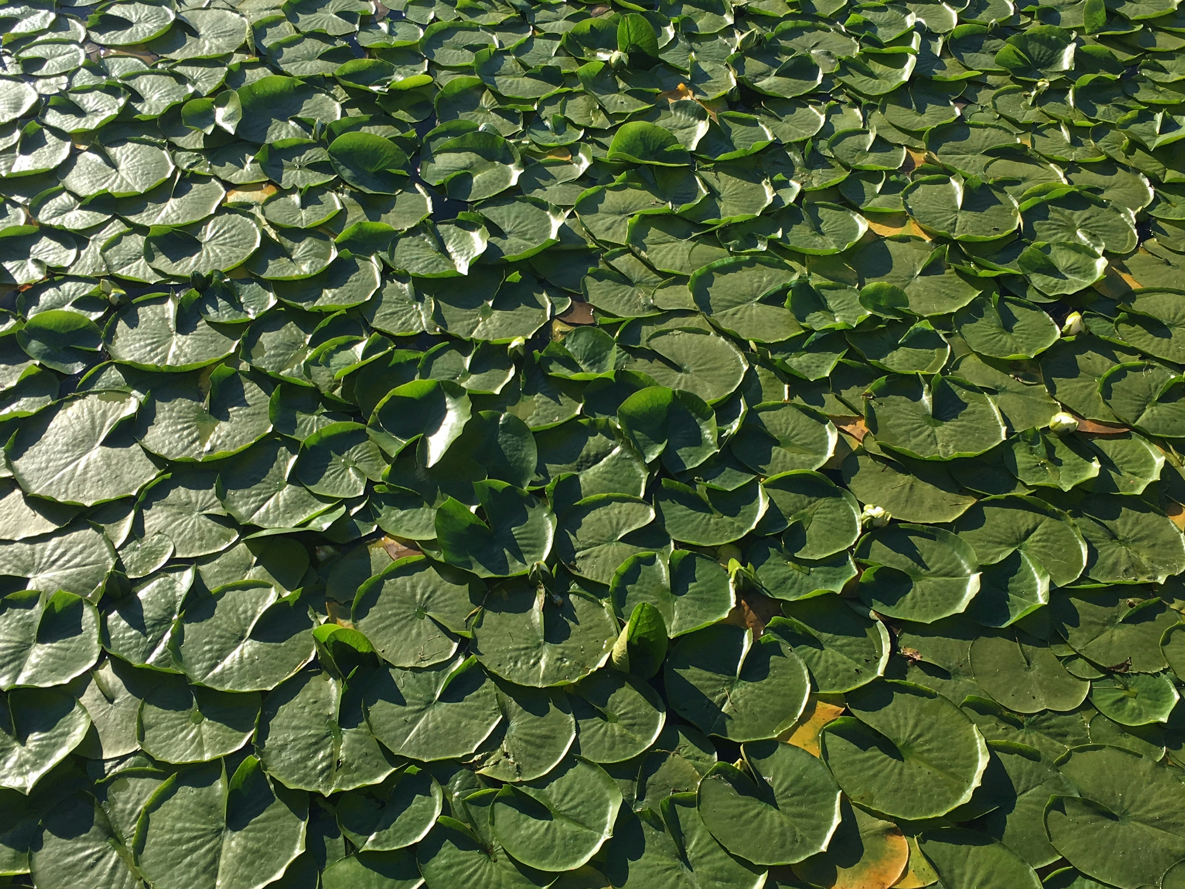 Photo by marsha_reid