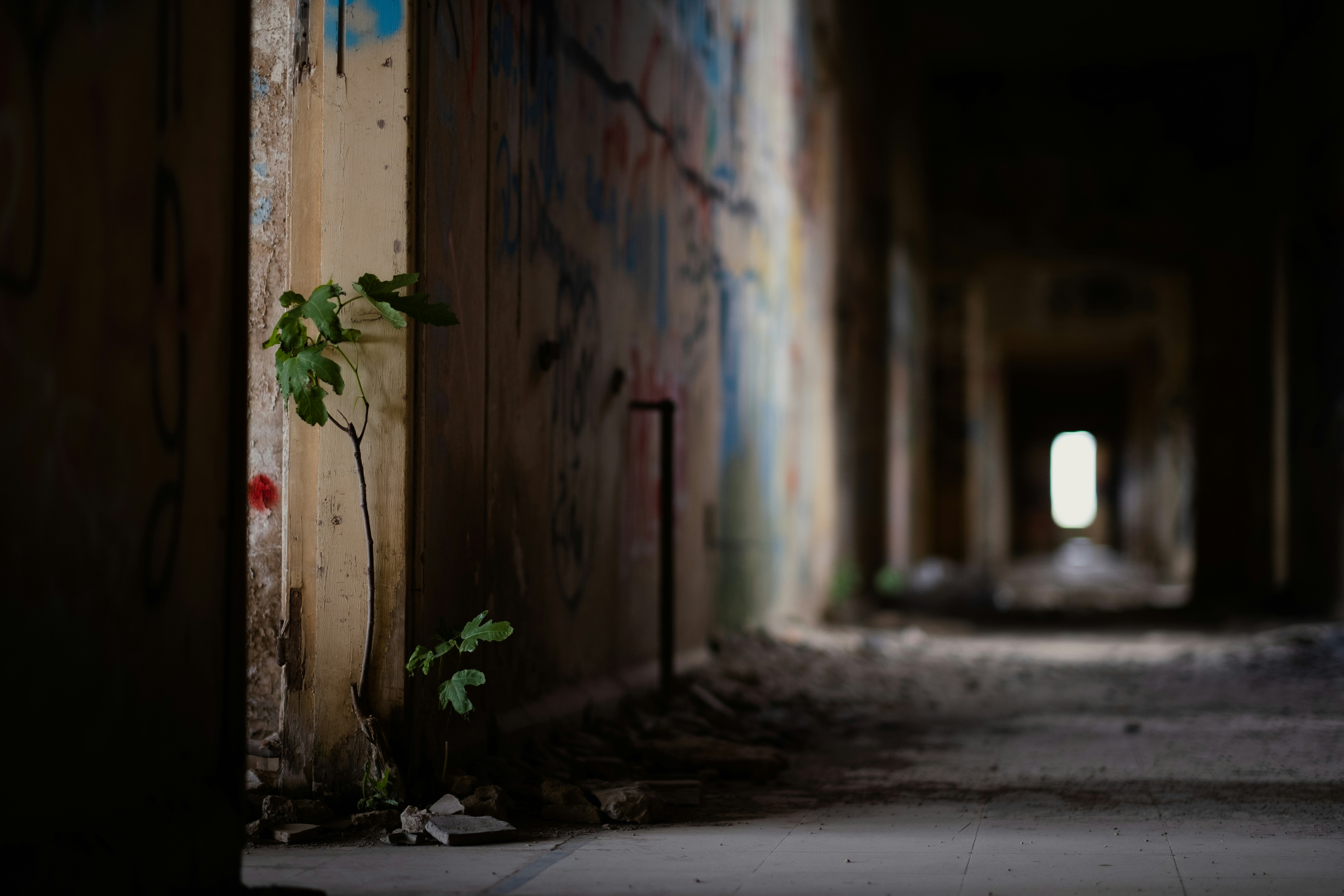 Conflict Around the World