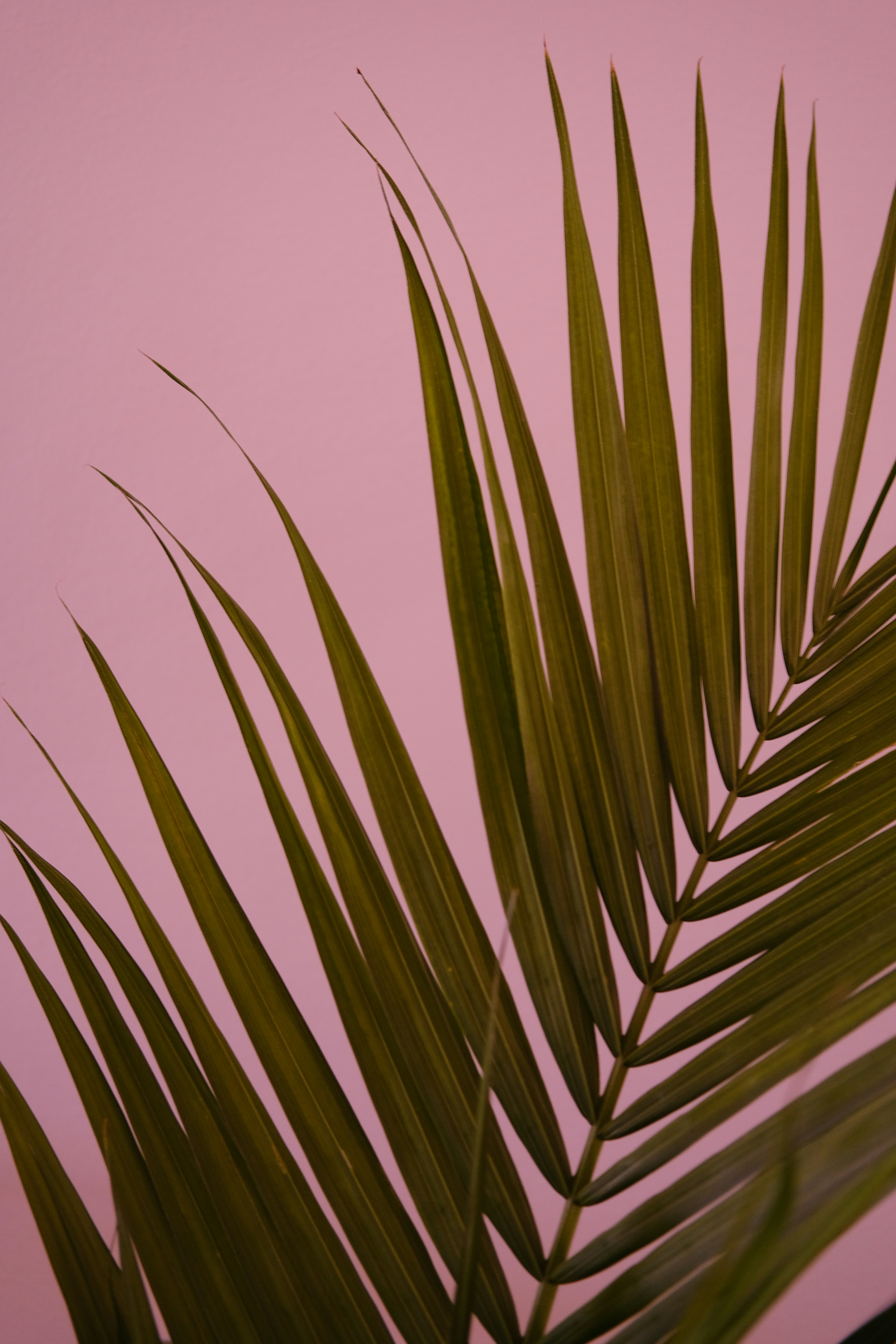 An abstract, calming image with natural textures, like water ripples or smooth stones.