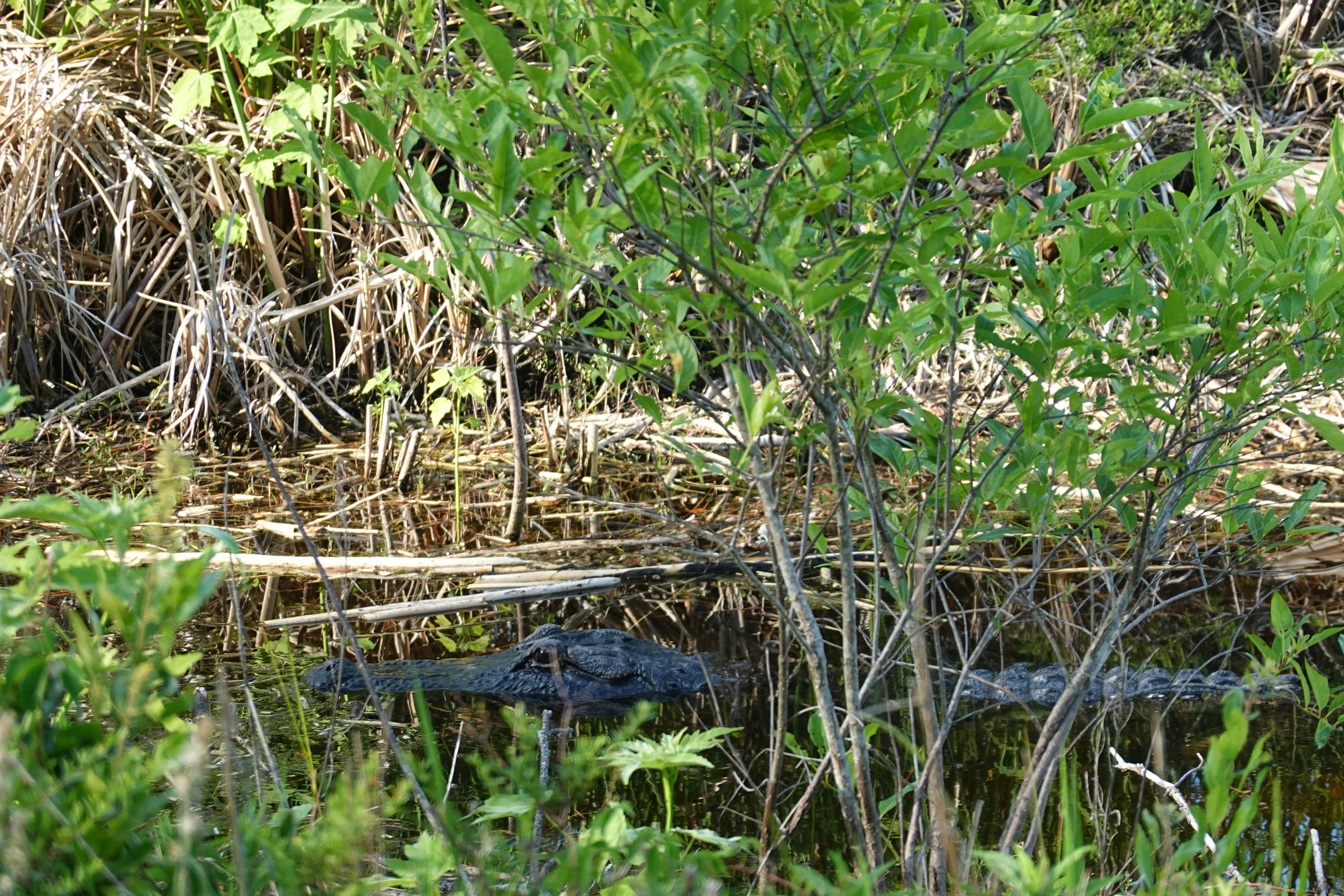 Photo by marsha_reid