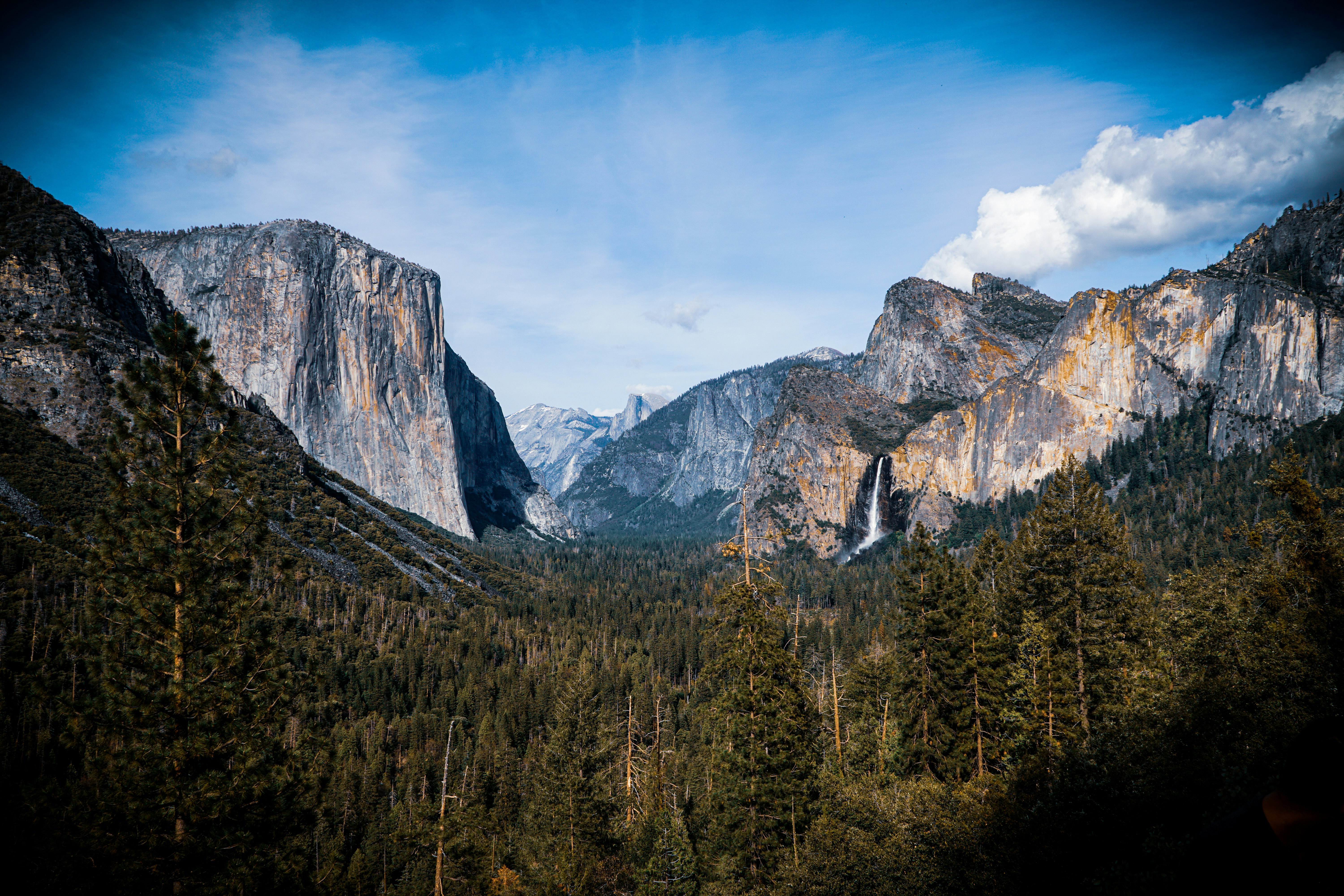 Photo by pmayorphotos