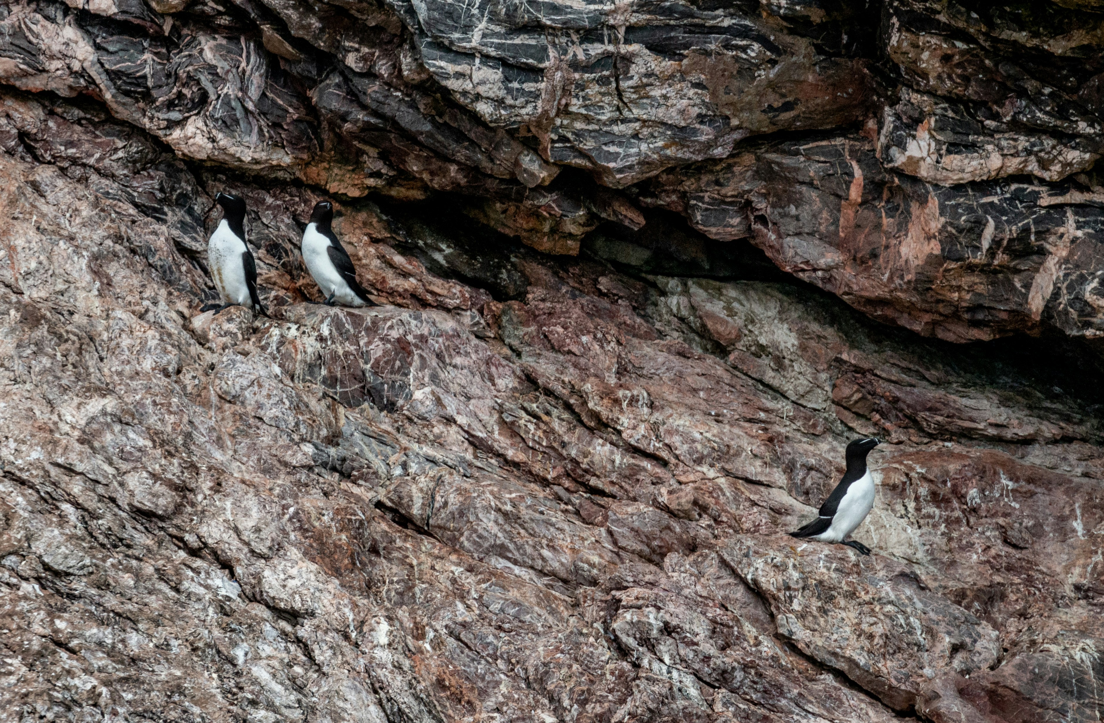 Photo by raymondo600