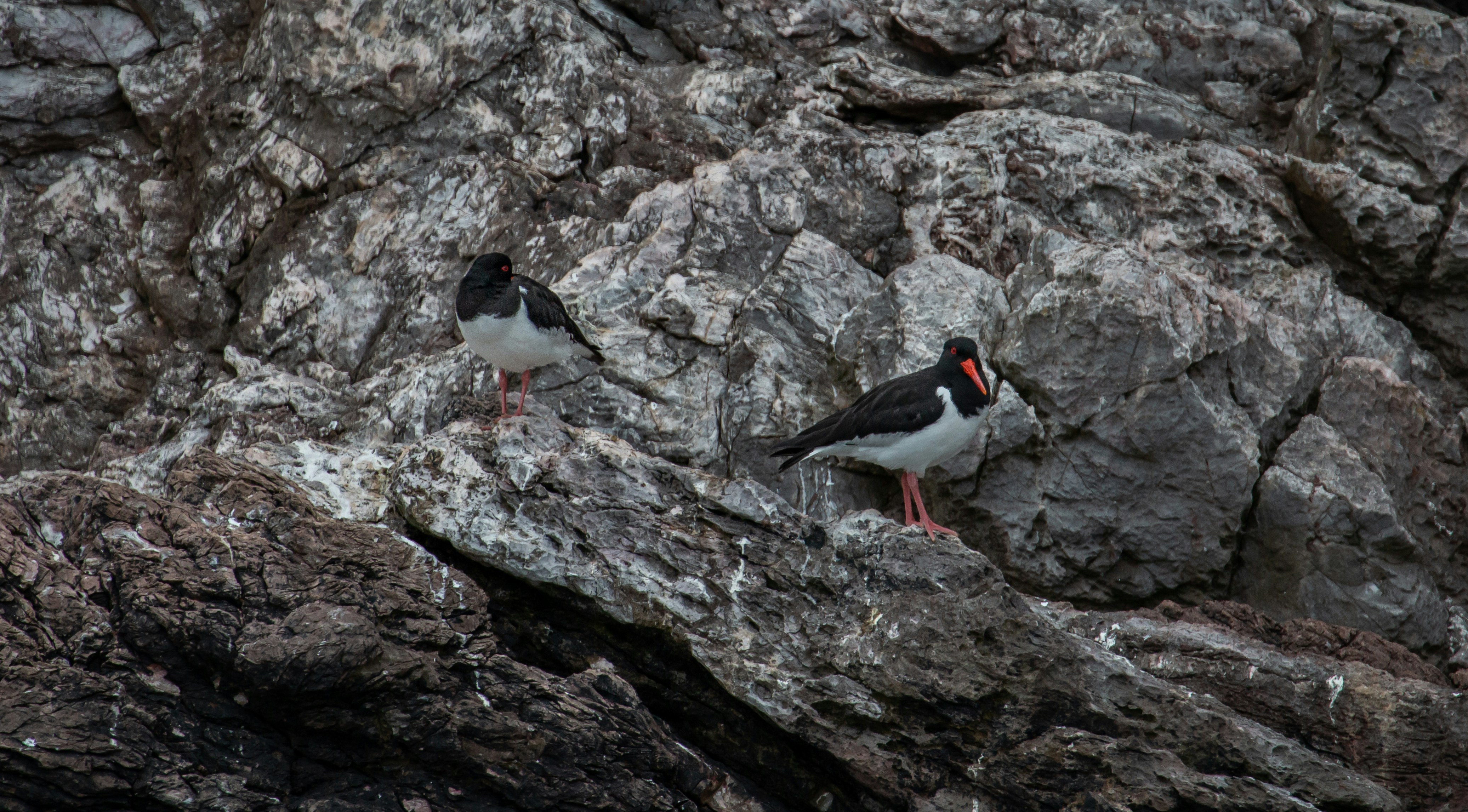 Photo by raymondo600