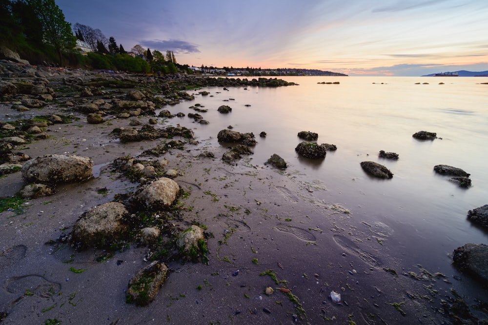 a rocky beach with a body of water and trees