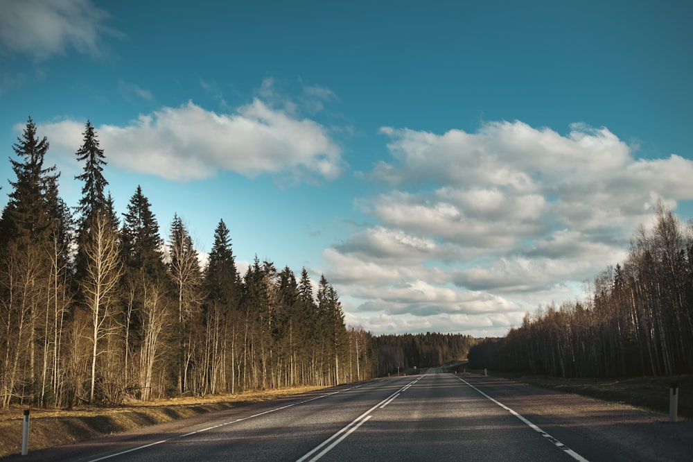 a road with trees on the side