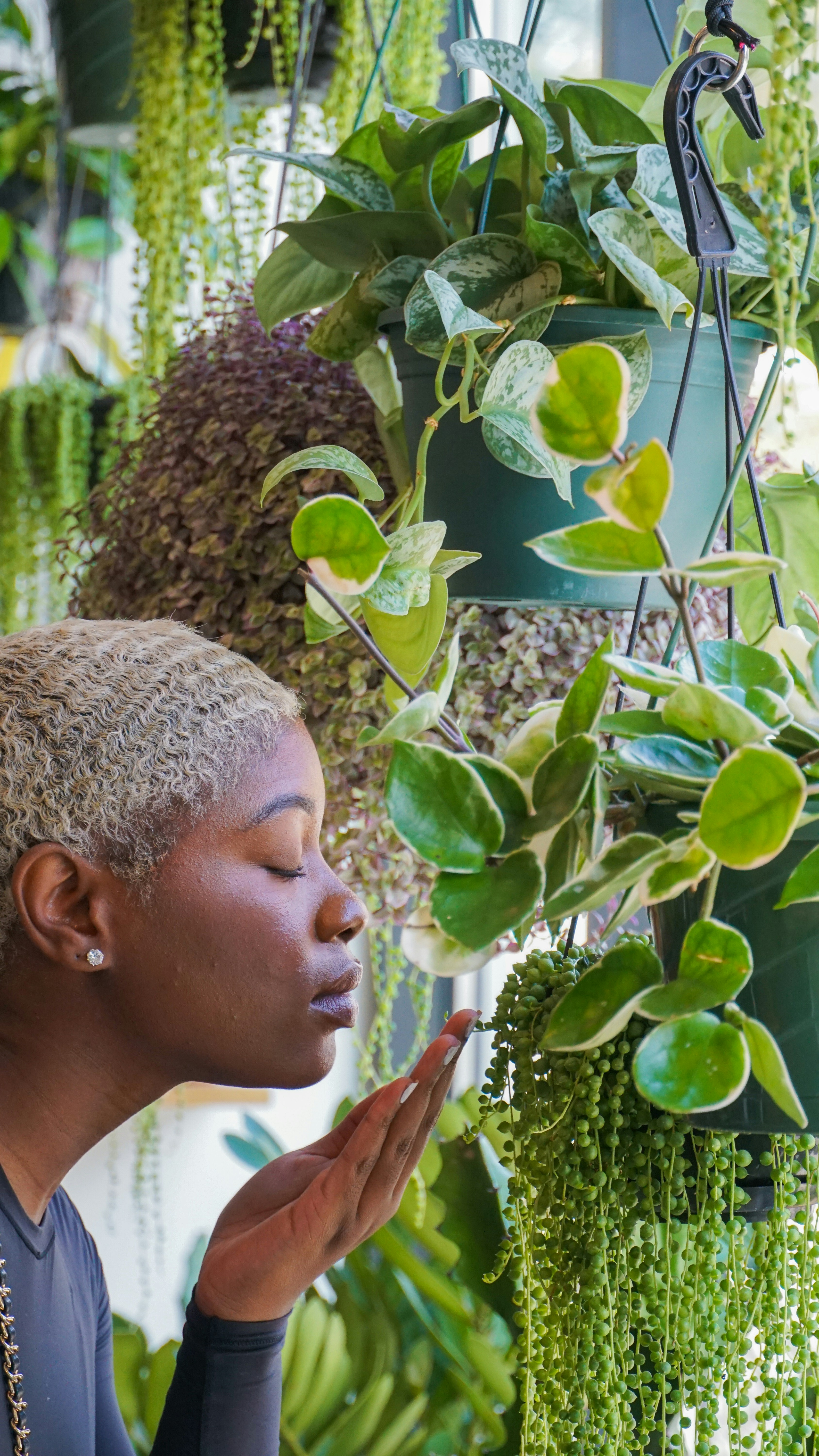 eine Person, die eine Pflanze berührt