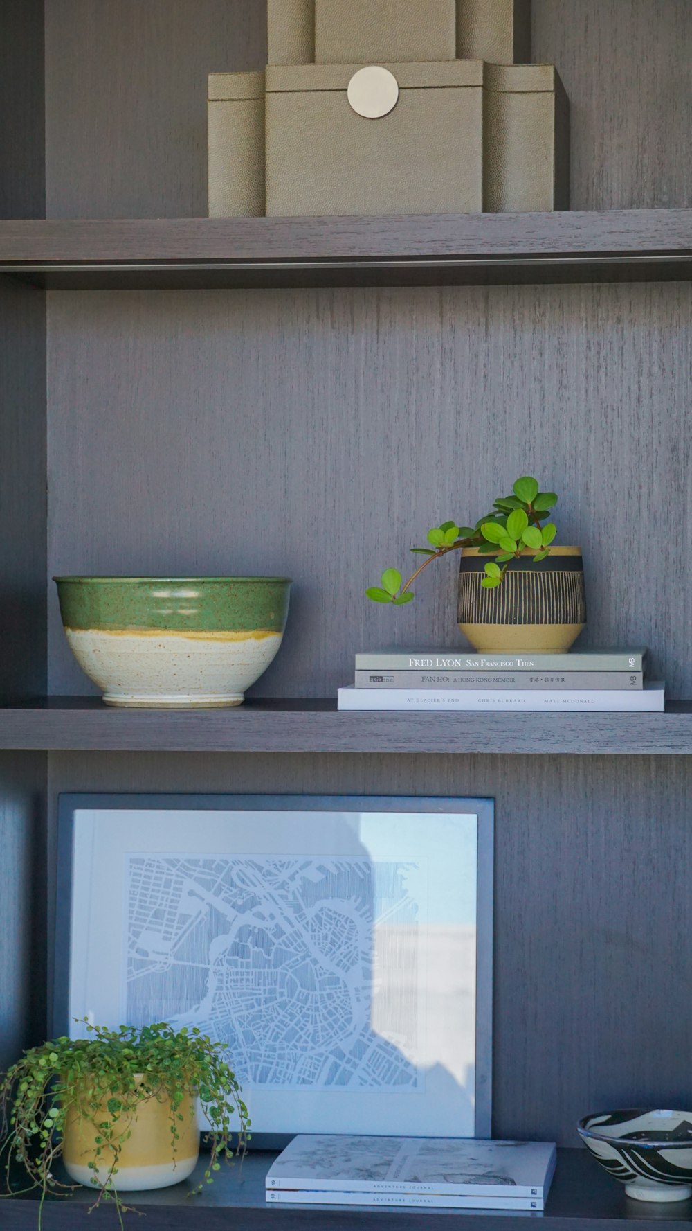 a shelf with books and a plant