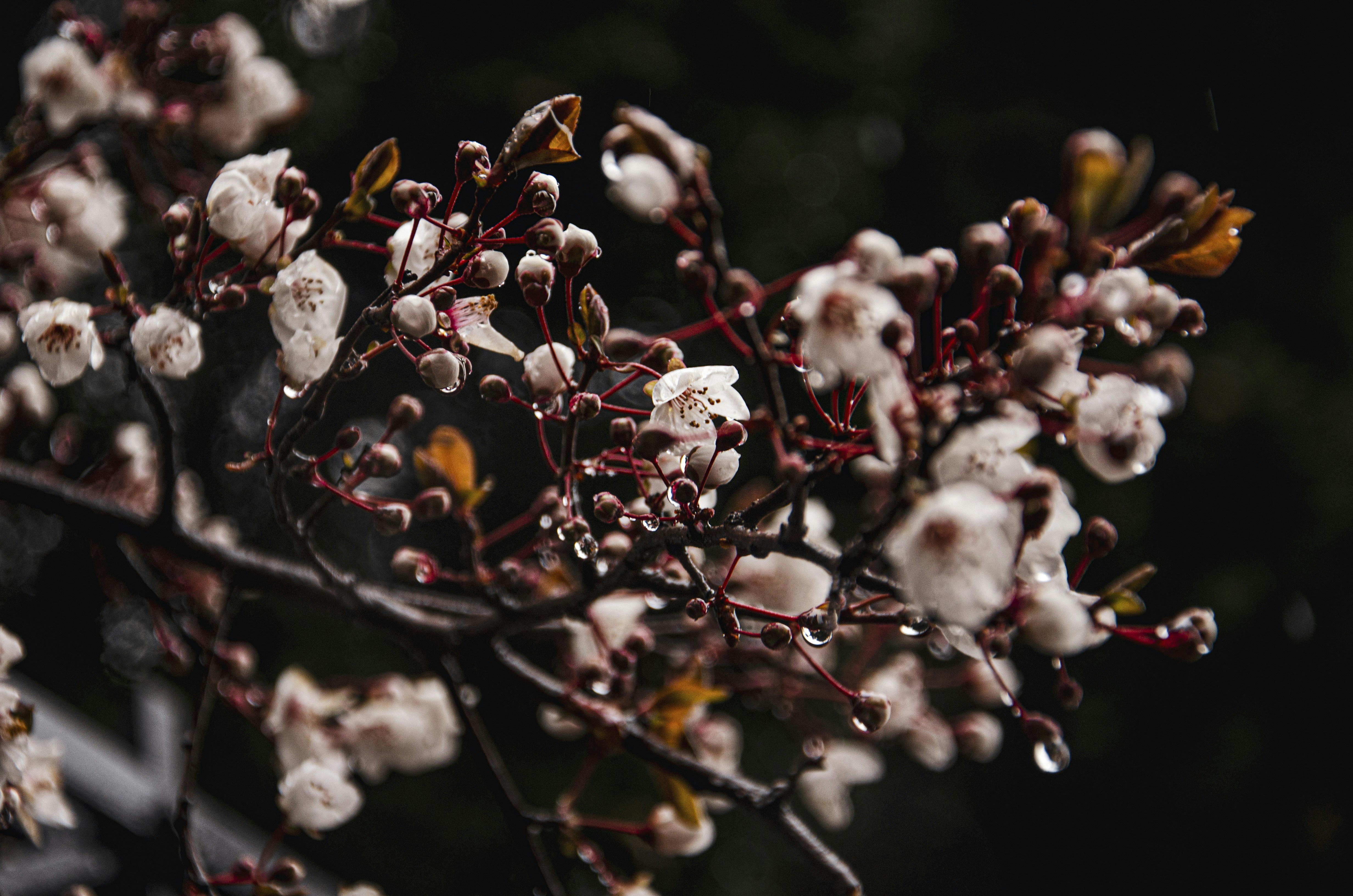 Photo by arina_dmitrieva