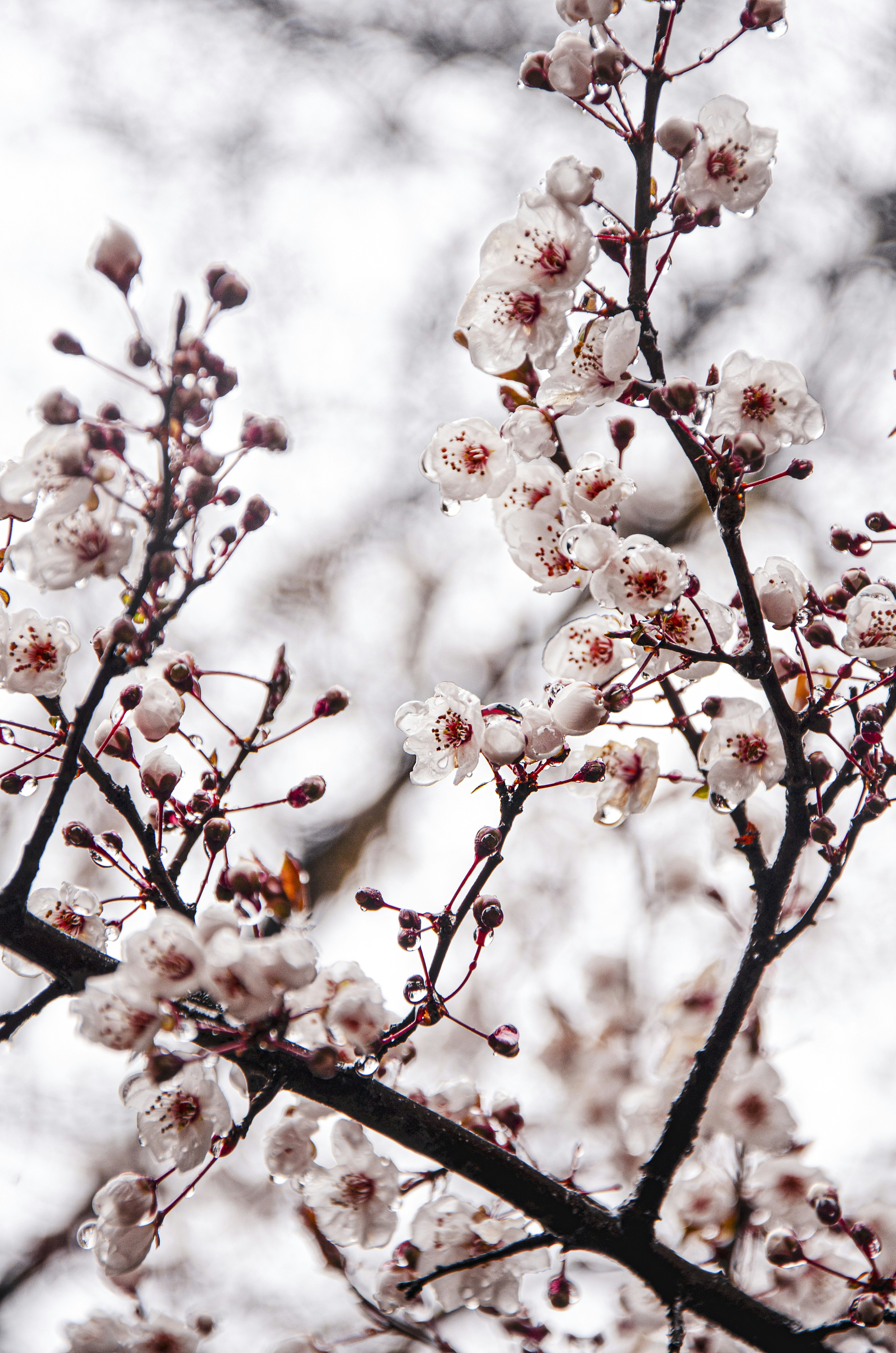 Photo by arina_dmitrieva