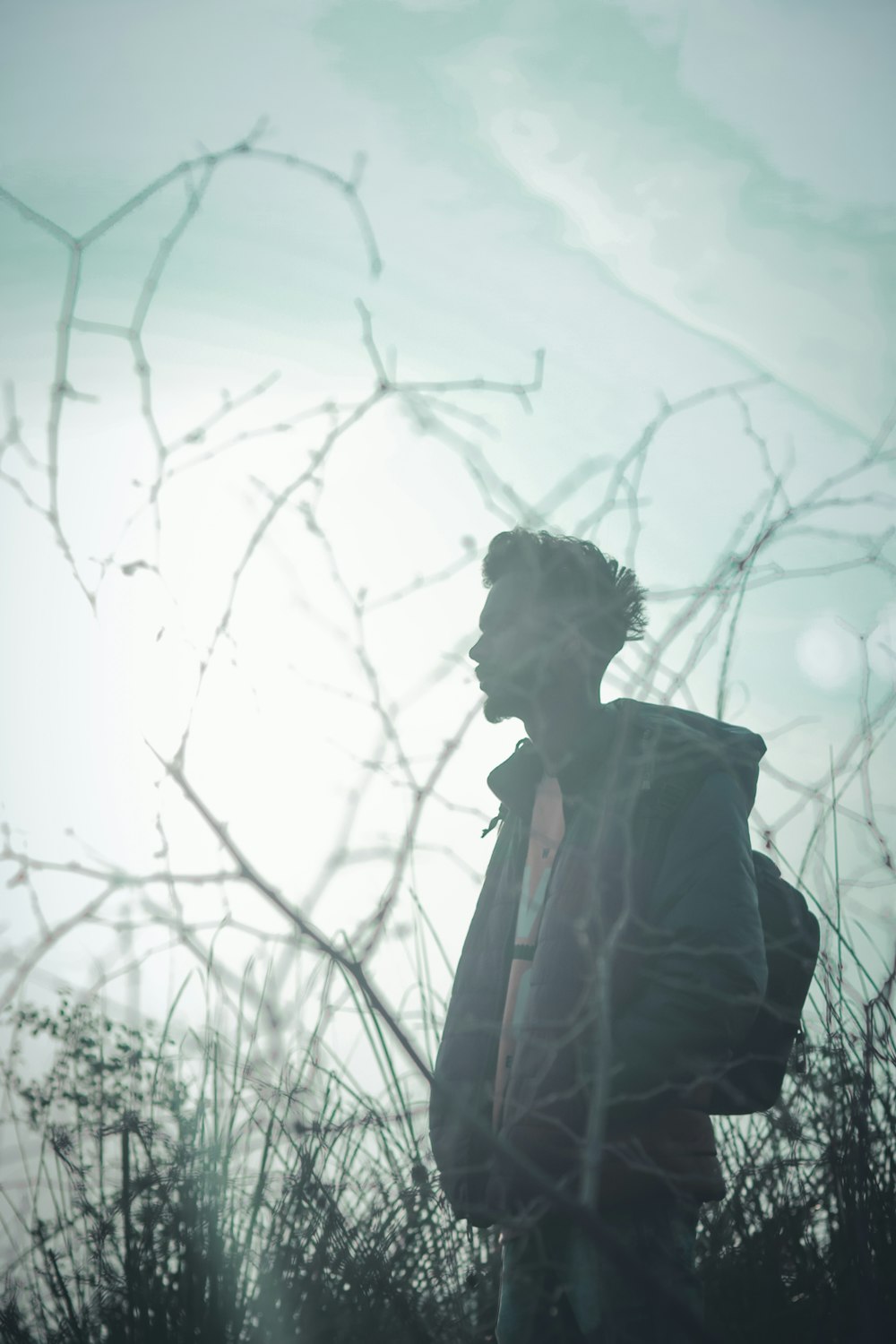 a person standing in front of a tree