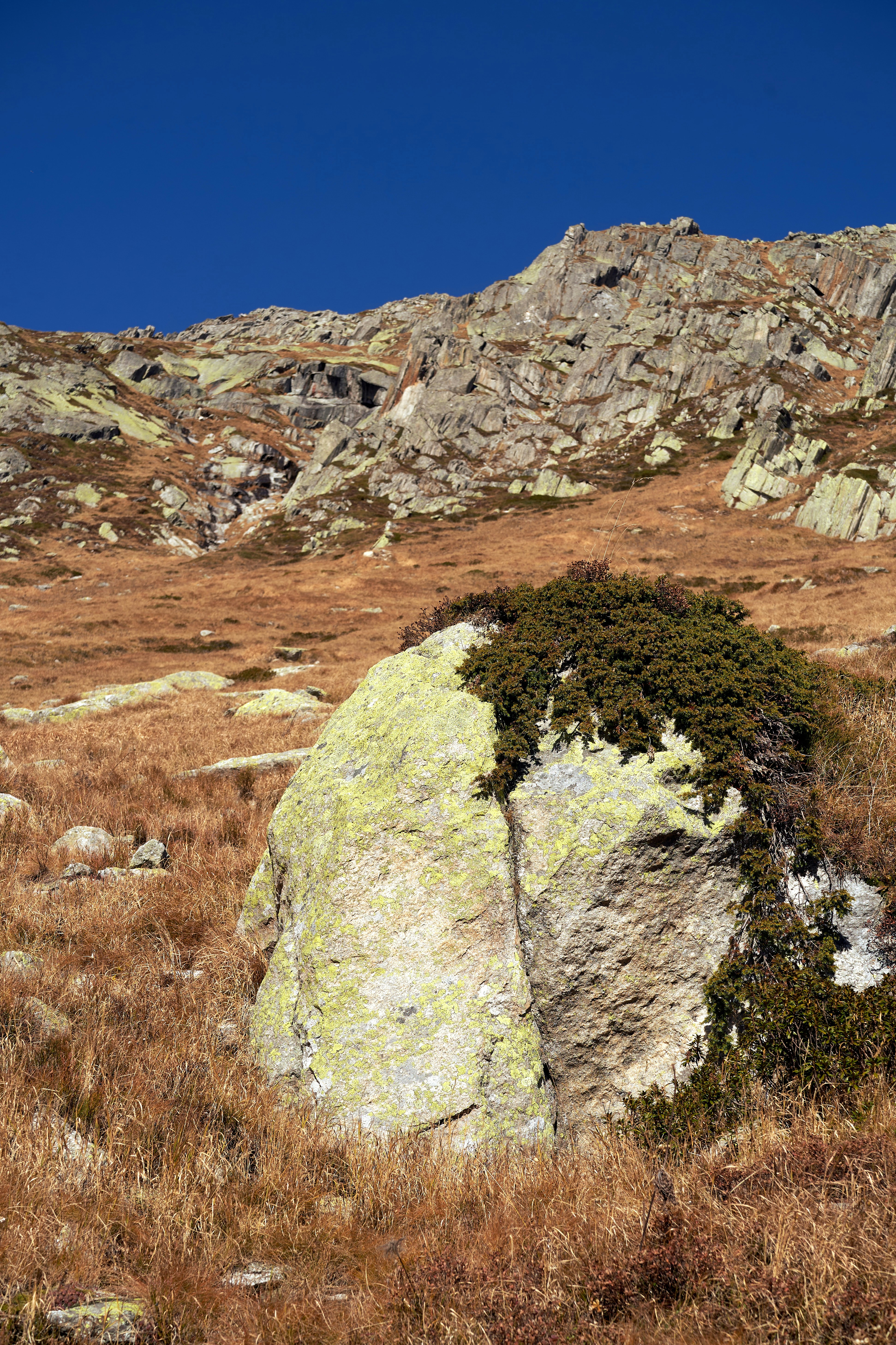 Photo by wolfgang_hasselmann