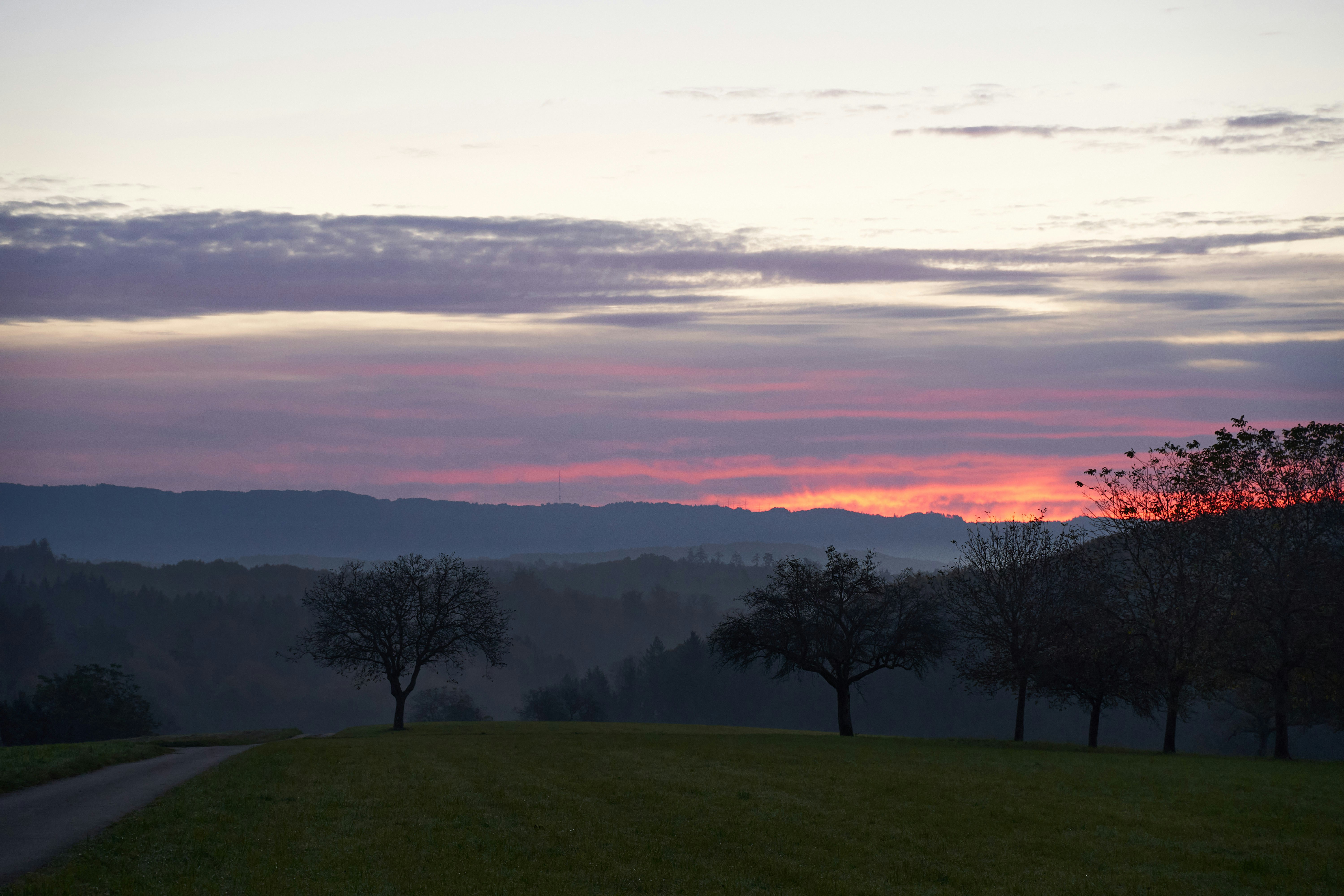 Photo by wolfgang_hasselmann