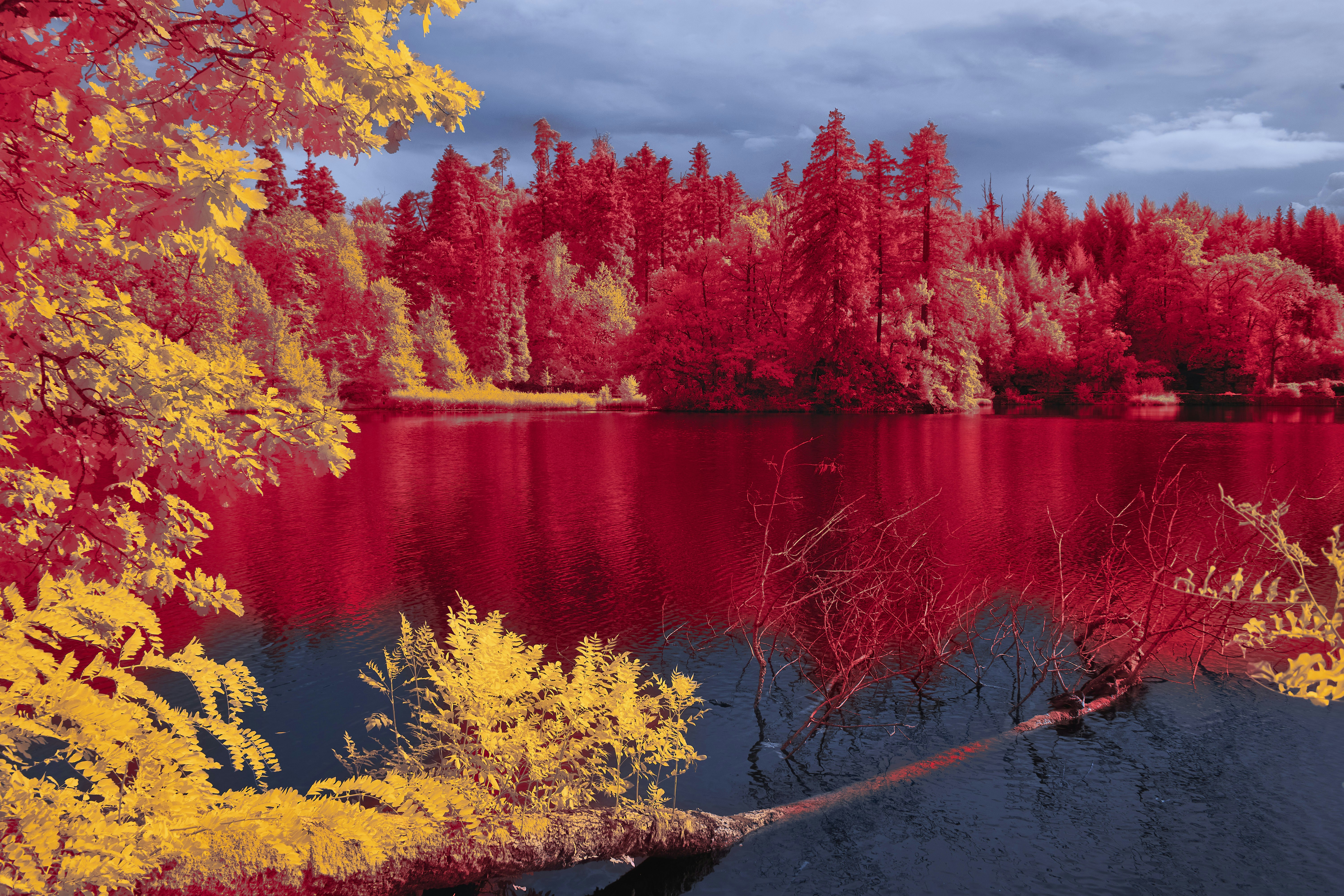 Photo by wolfgang_hasselmann