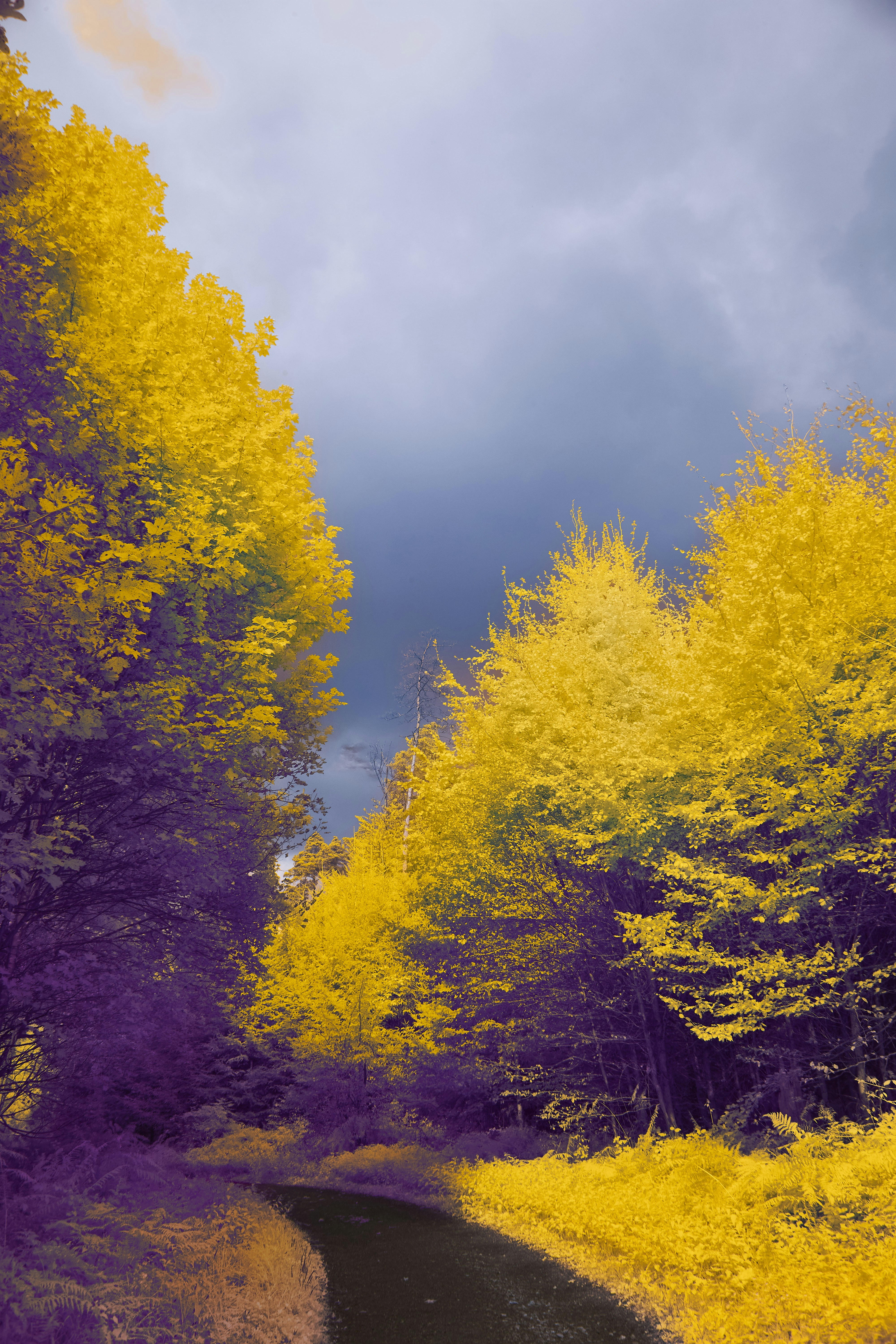 Photo by wolfgang_hasselmann