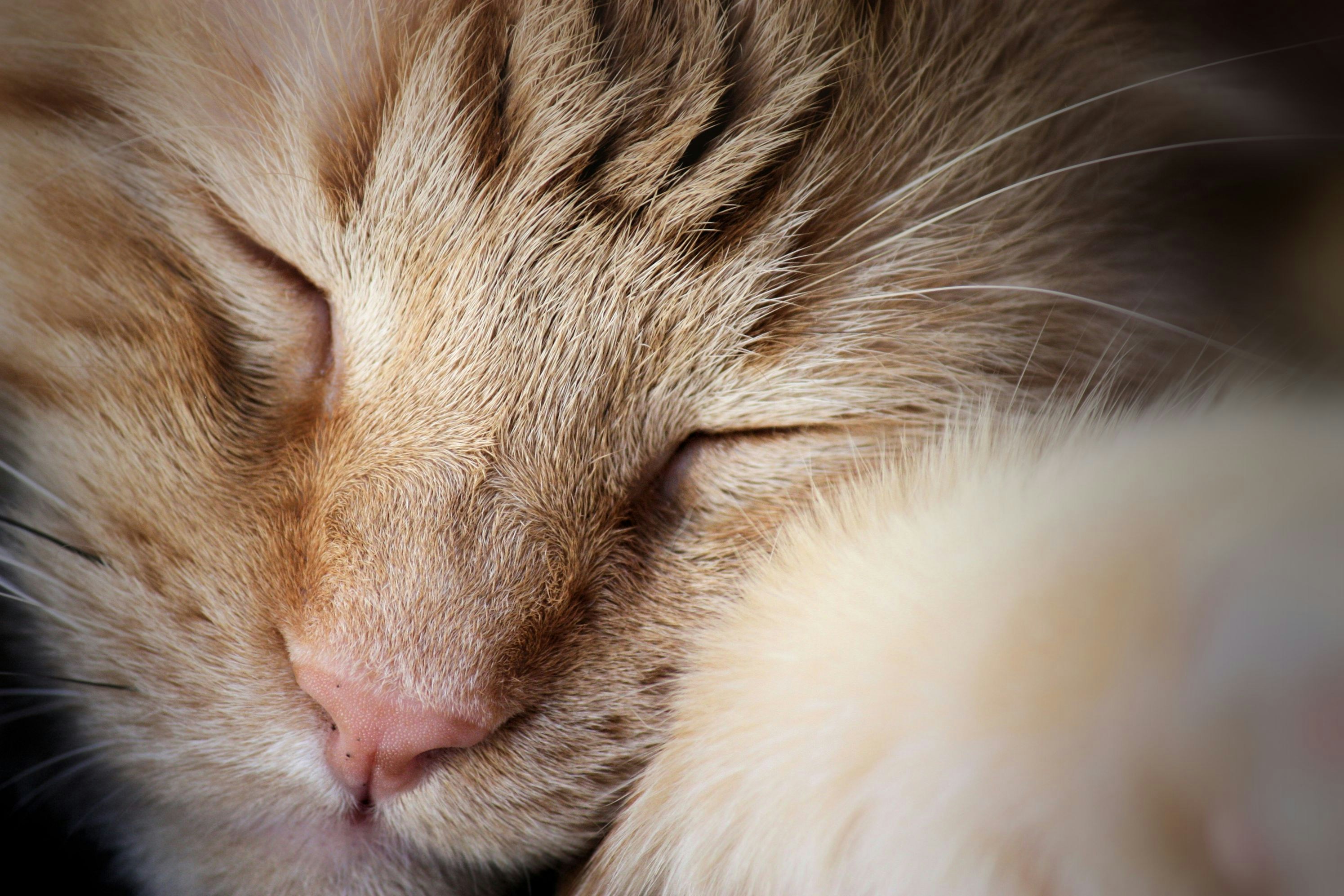 Photo by onesmallsquare