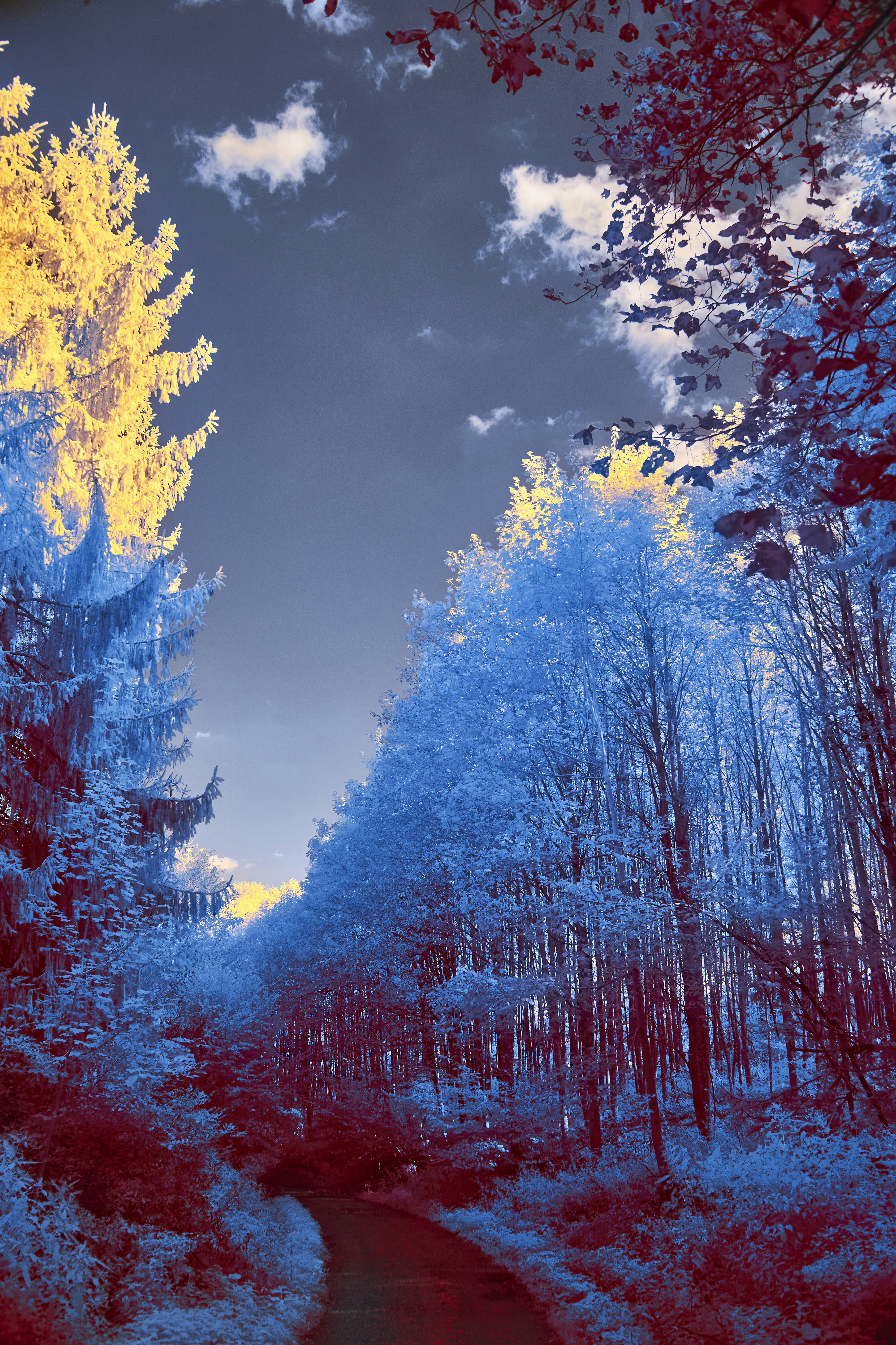 Photo by wolfgang_hasselmann