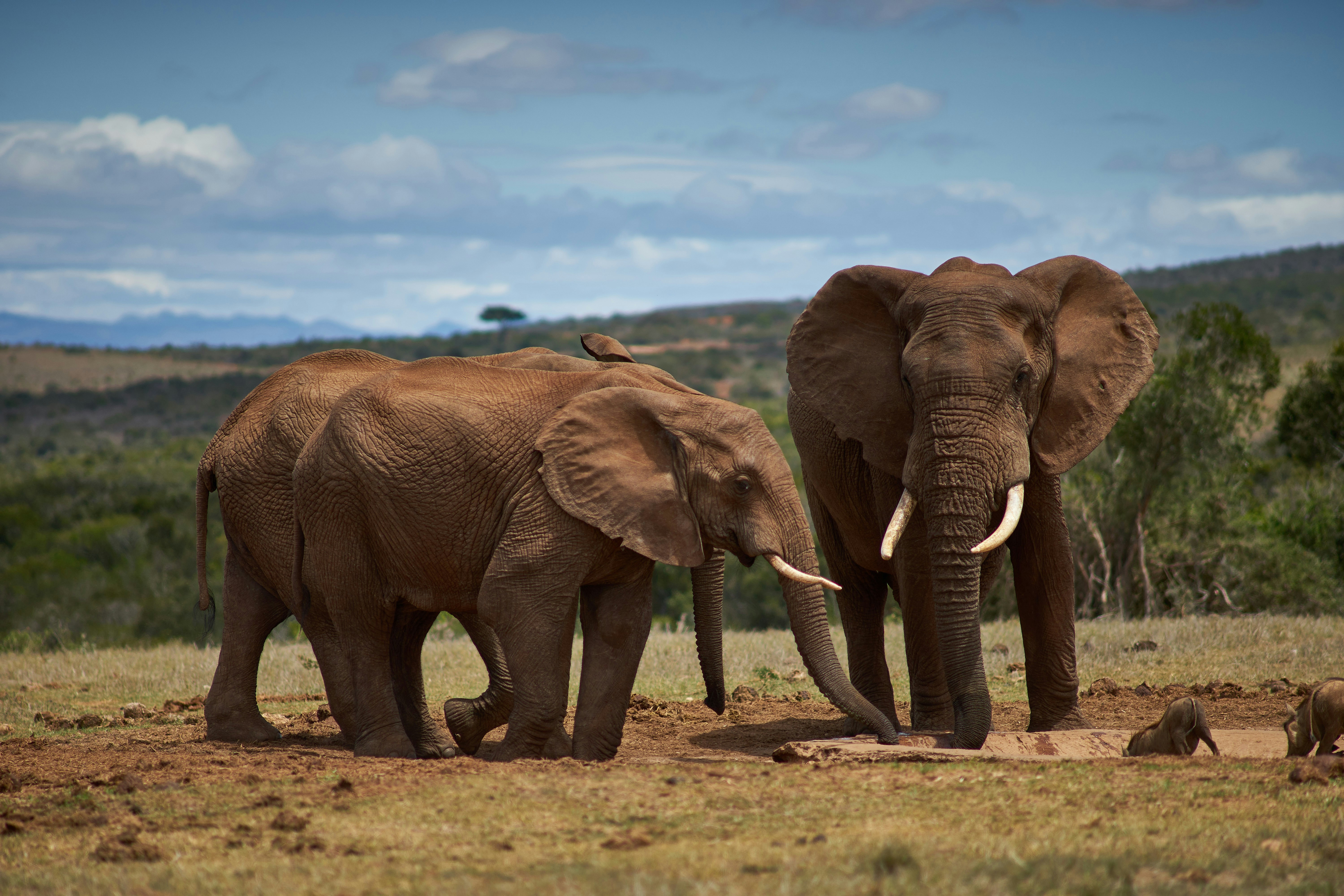 Photo by wolfgang_hasselmann