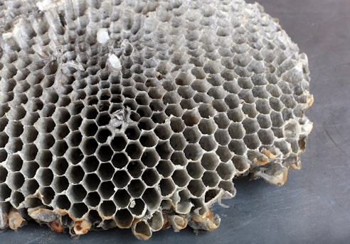 a large pile of rocks