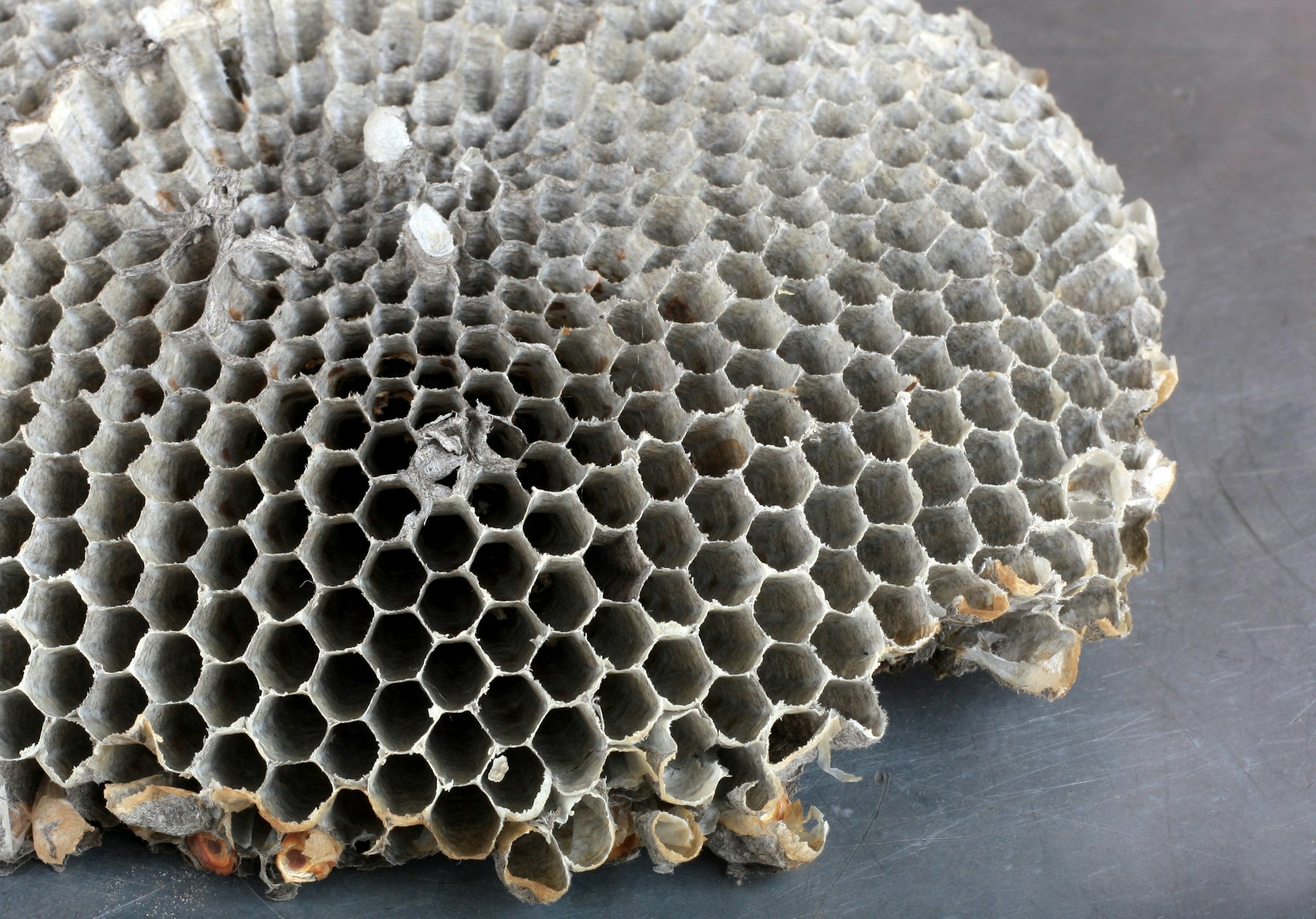 a large pile of rocks