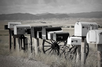 a group of white and black machines in a field