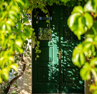 a green door with a plant growing on it