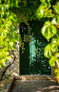 a green door with a plant growing on it