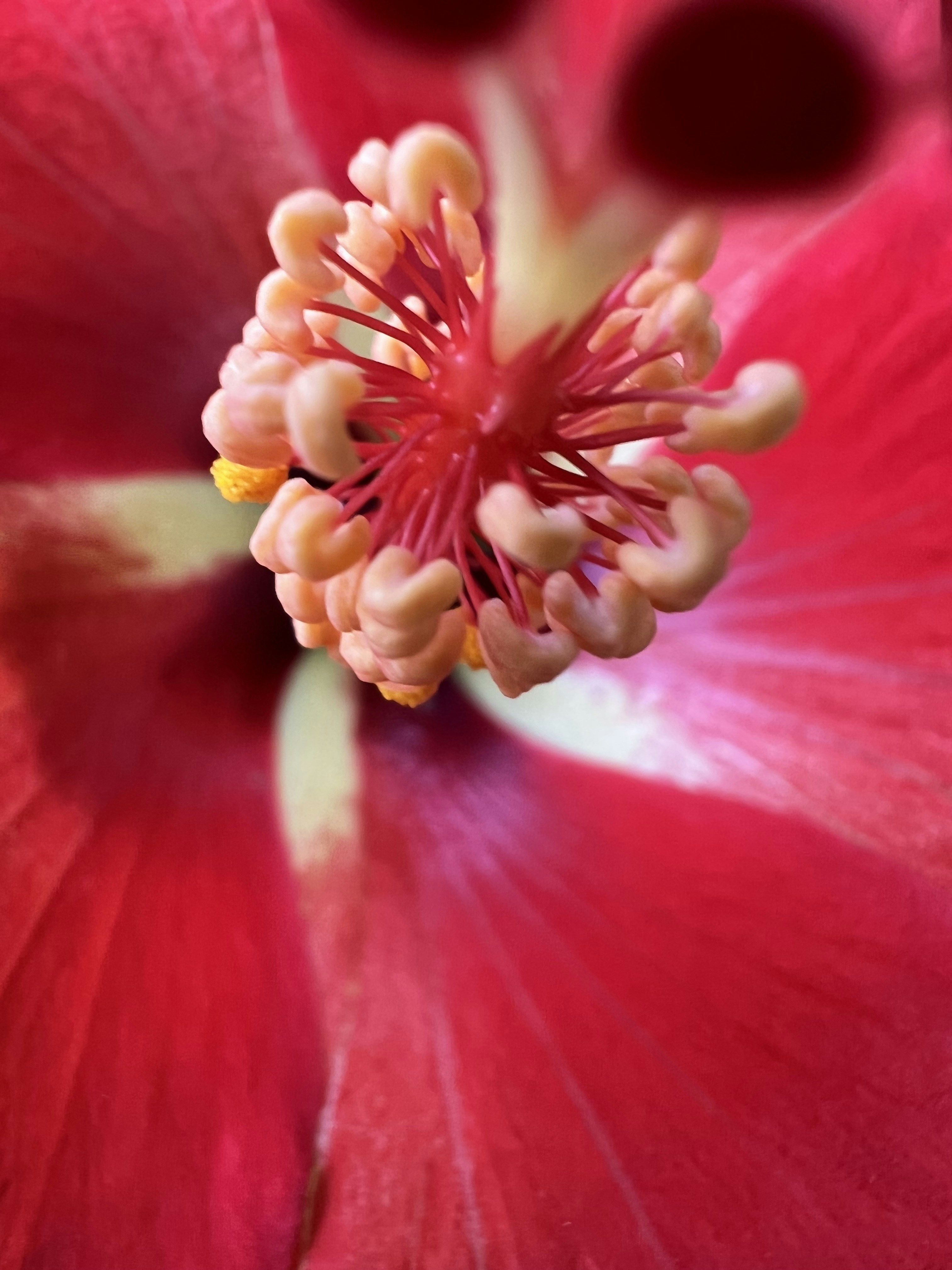 Photo by magic_lens_