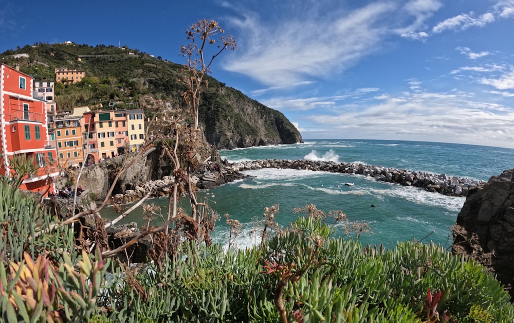 a beach with buildings and trees