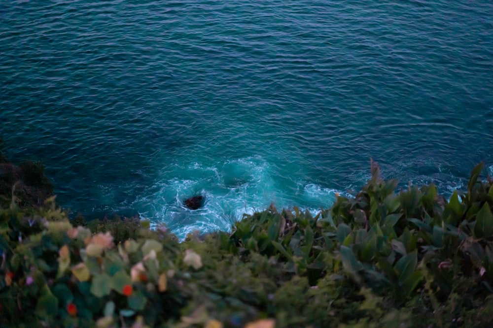 a person swimming in the water