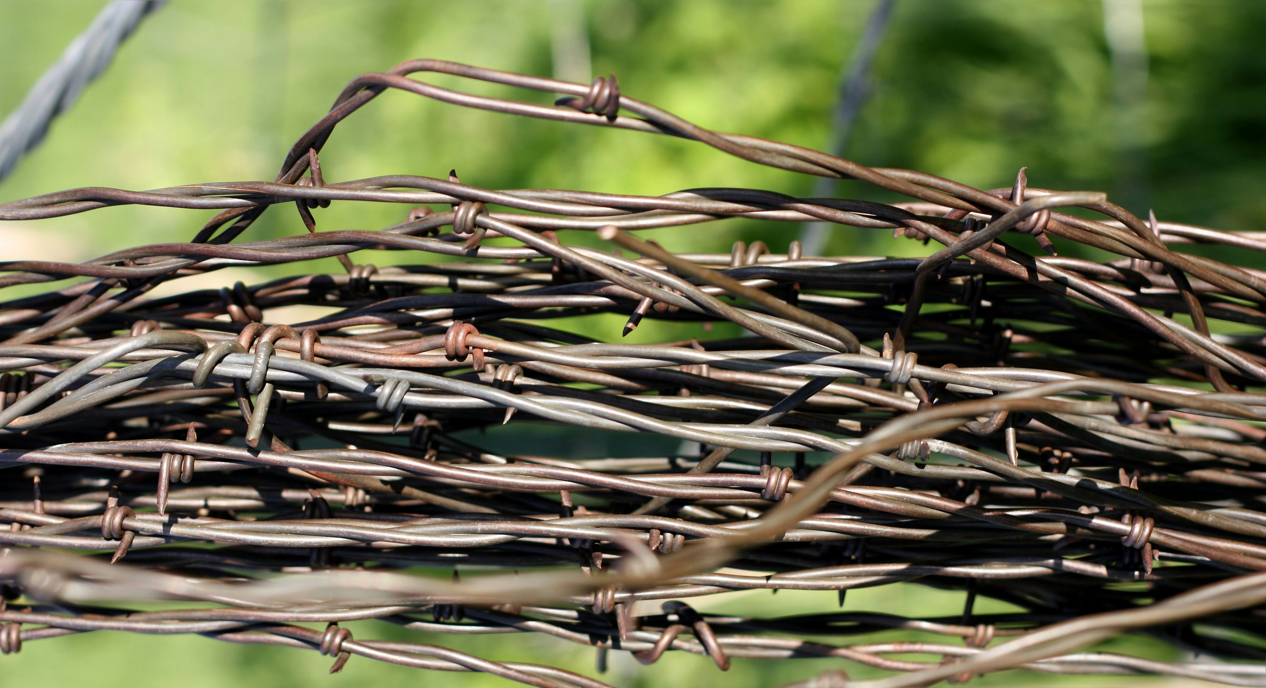 Photo by onesmallsquare