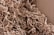 A close-up view of crinkled brown paper strips filling a cardboard box. The paper strips are densely packed and create a textured and layered appearance.