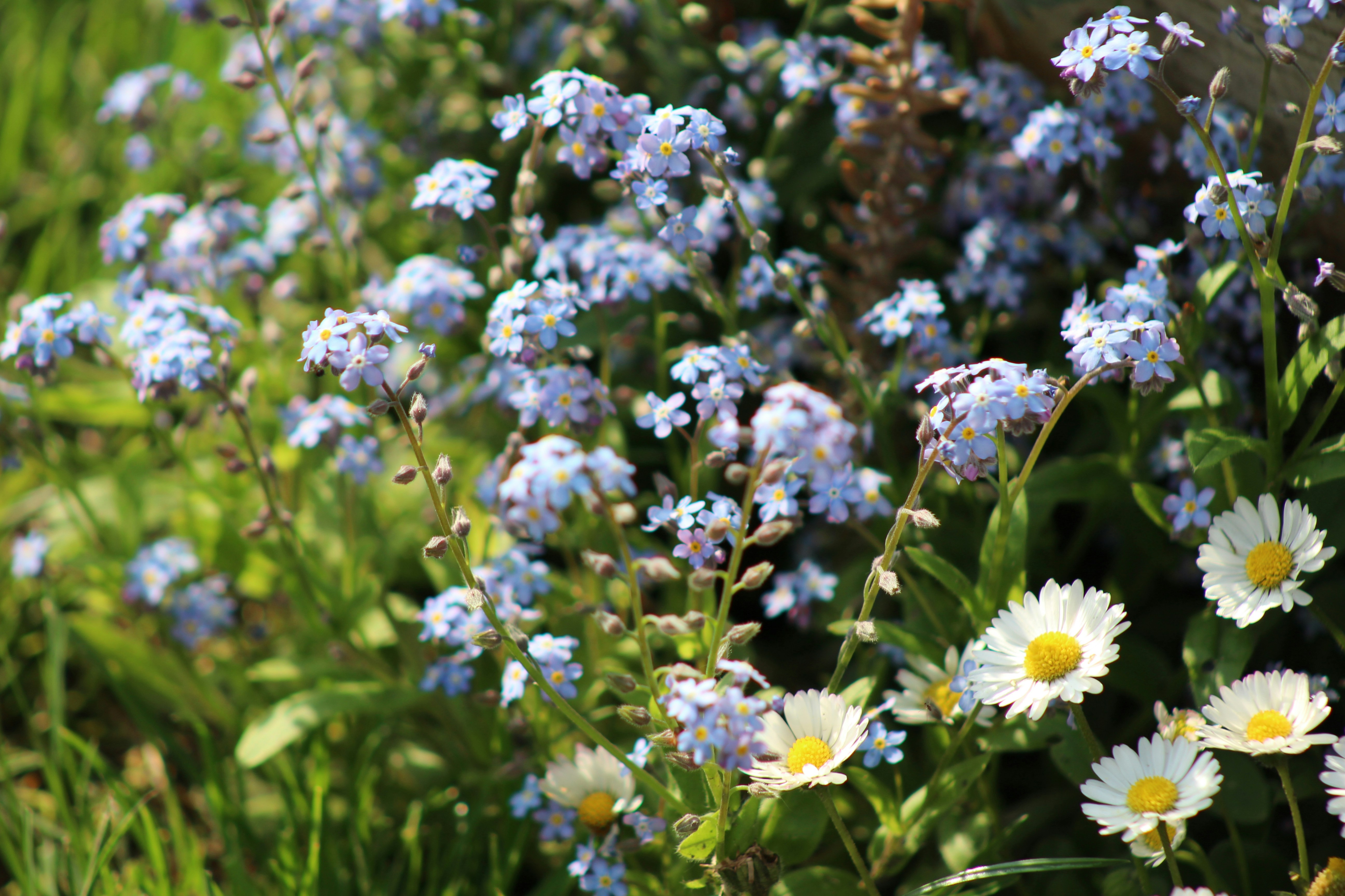 Photo by marjorylucabaxter