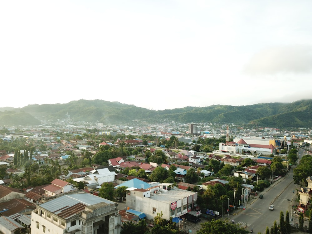 a city with many buildings and trees