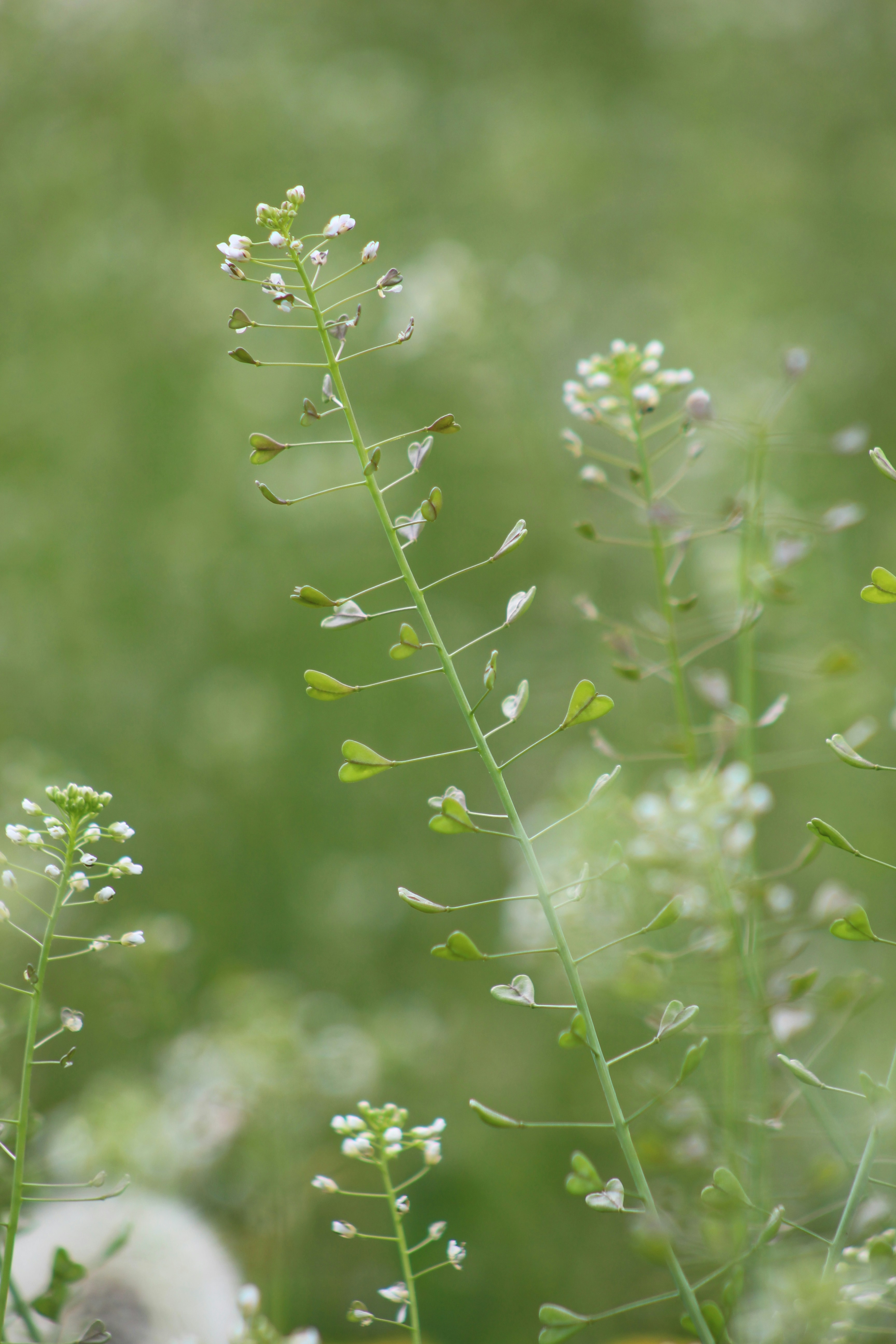 Photo by marjorylucabaxter