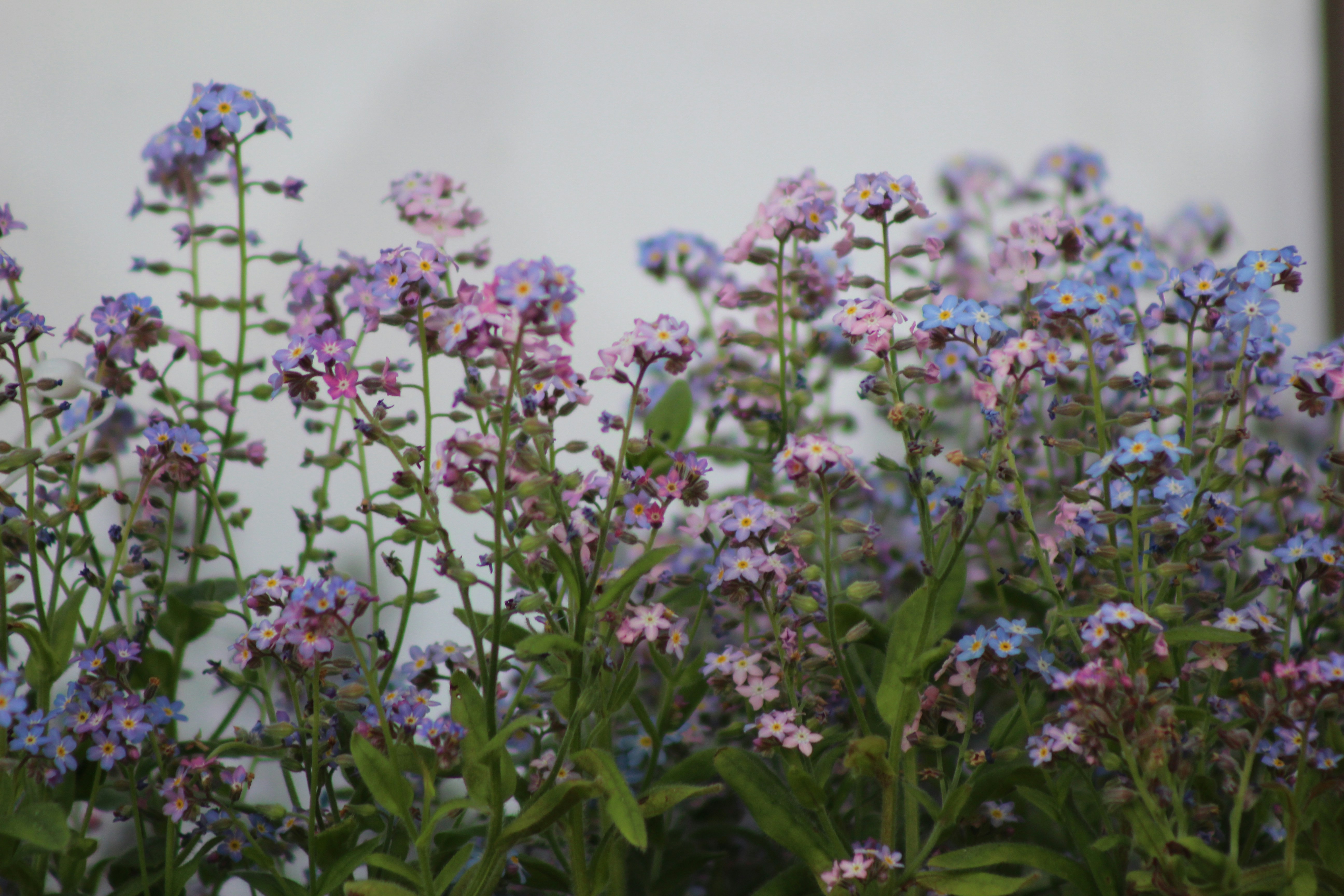 Photo by marjorylucabaxter