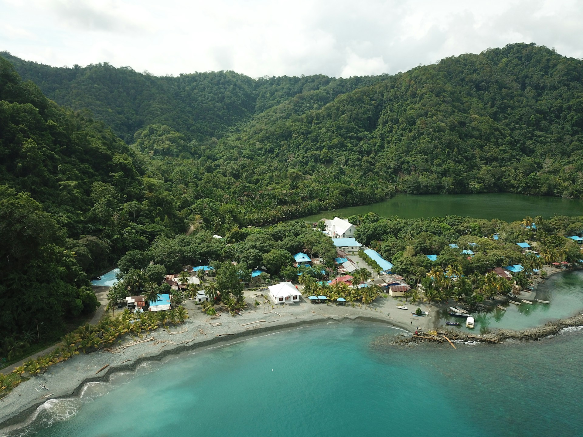 a beach with houses and trees