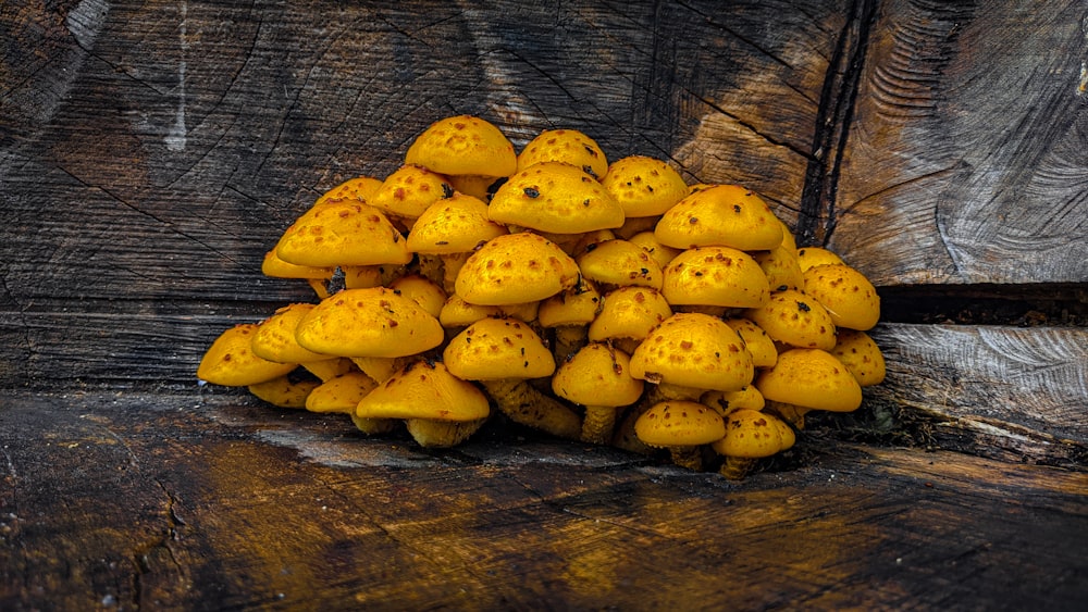 a pile of yellow potatoes